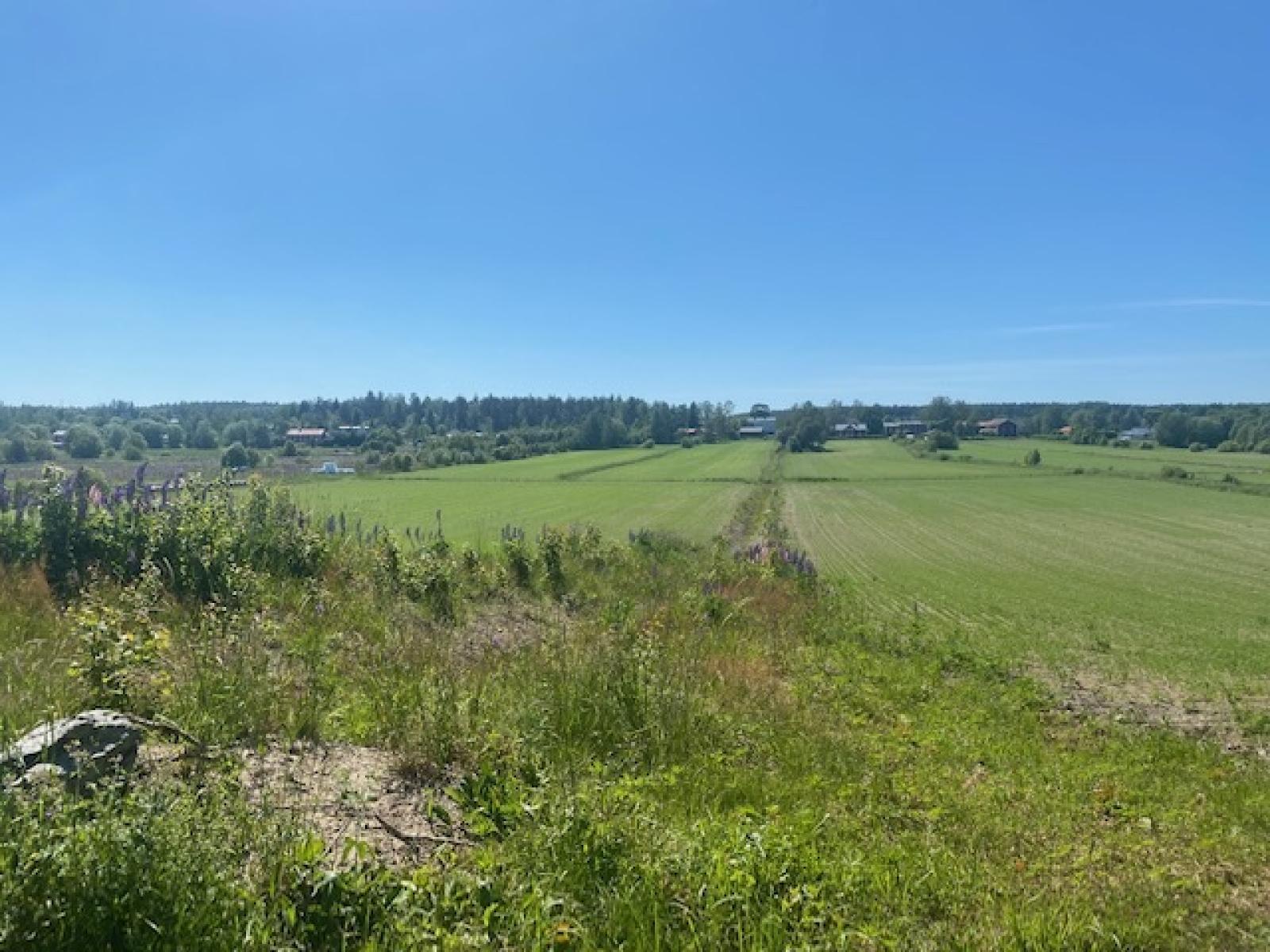 Kvarnbacken