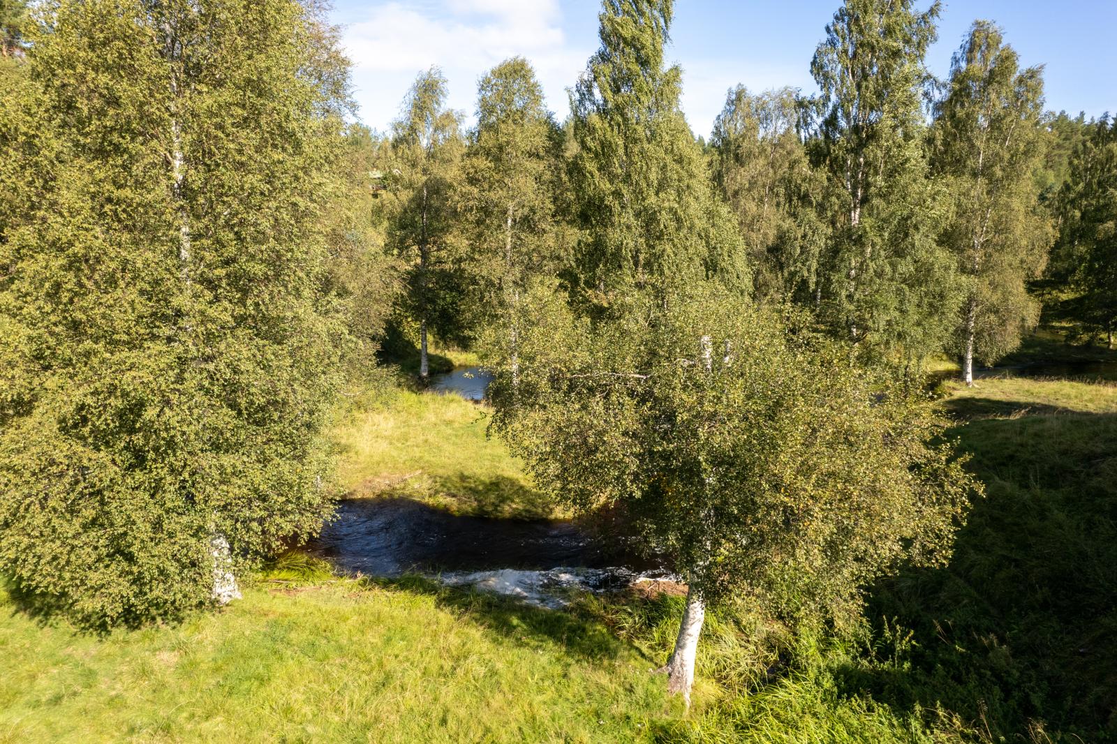 Flygbild över tomten mm