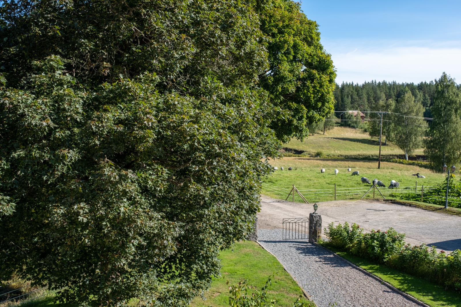 Infarten mot bostadshuset