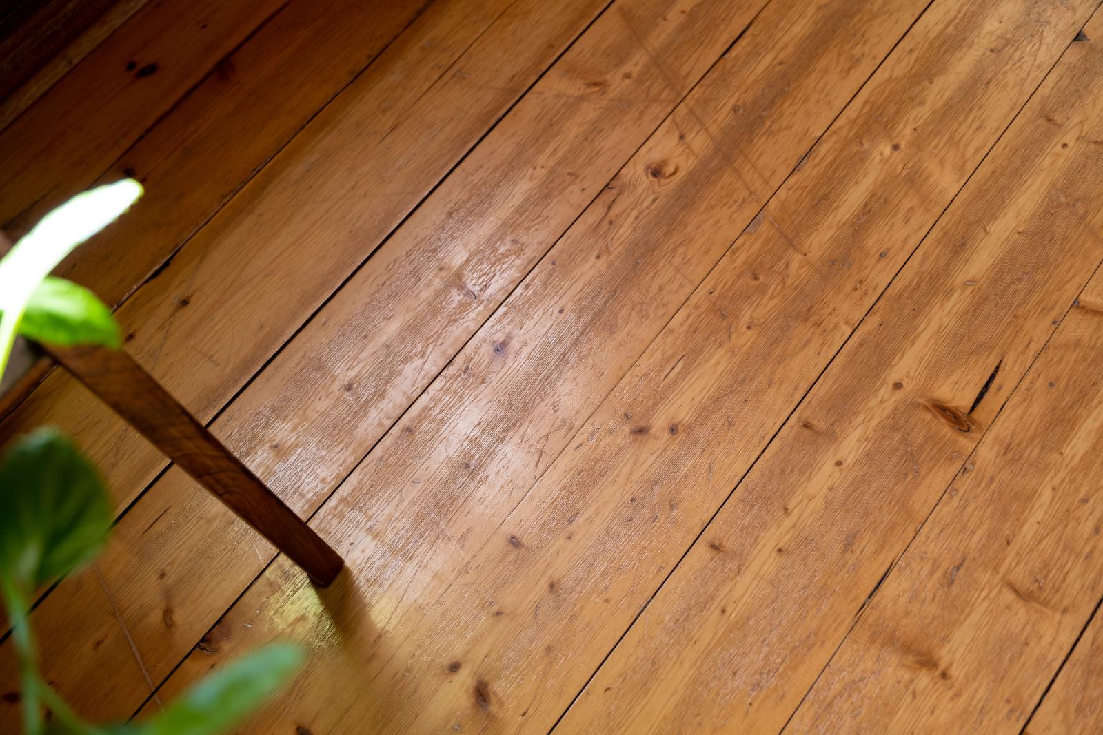Detaljbild - trägolv