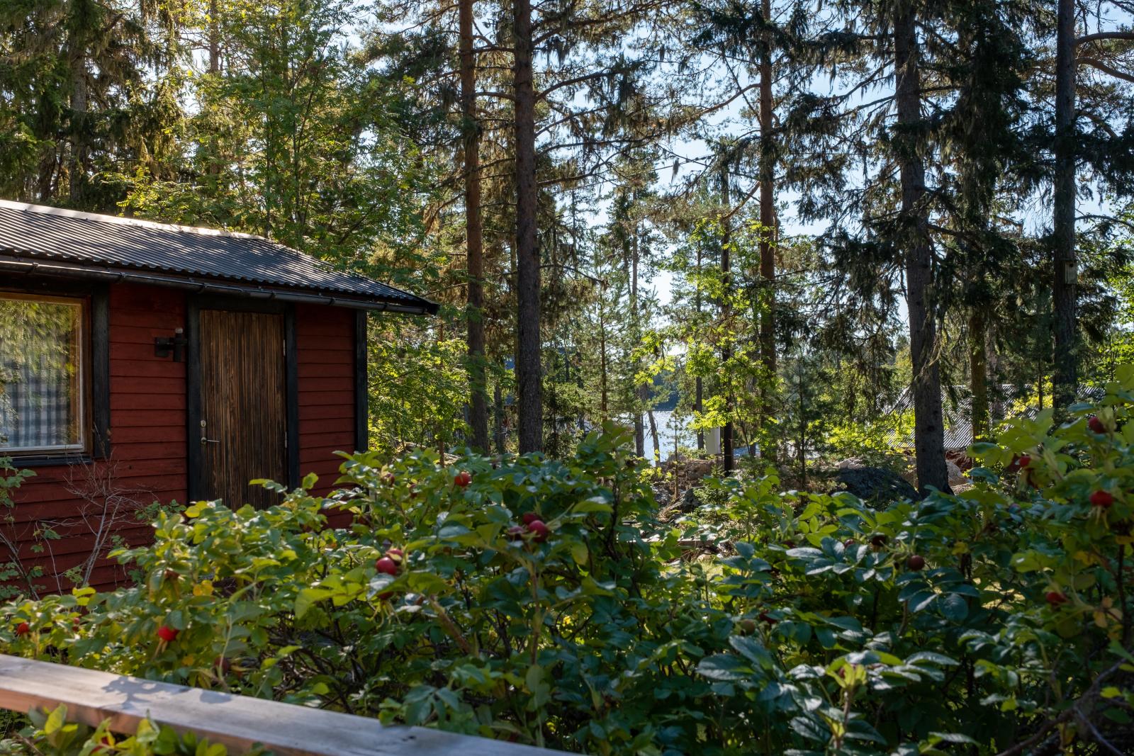 Havet som glimrar bakom gäststugan