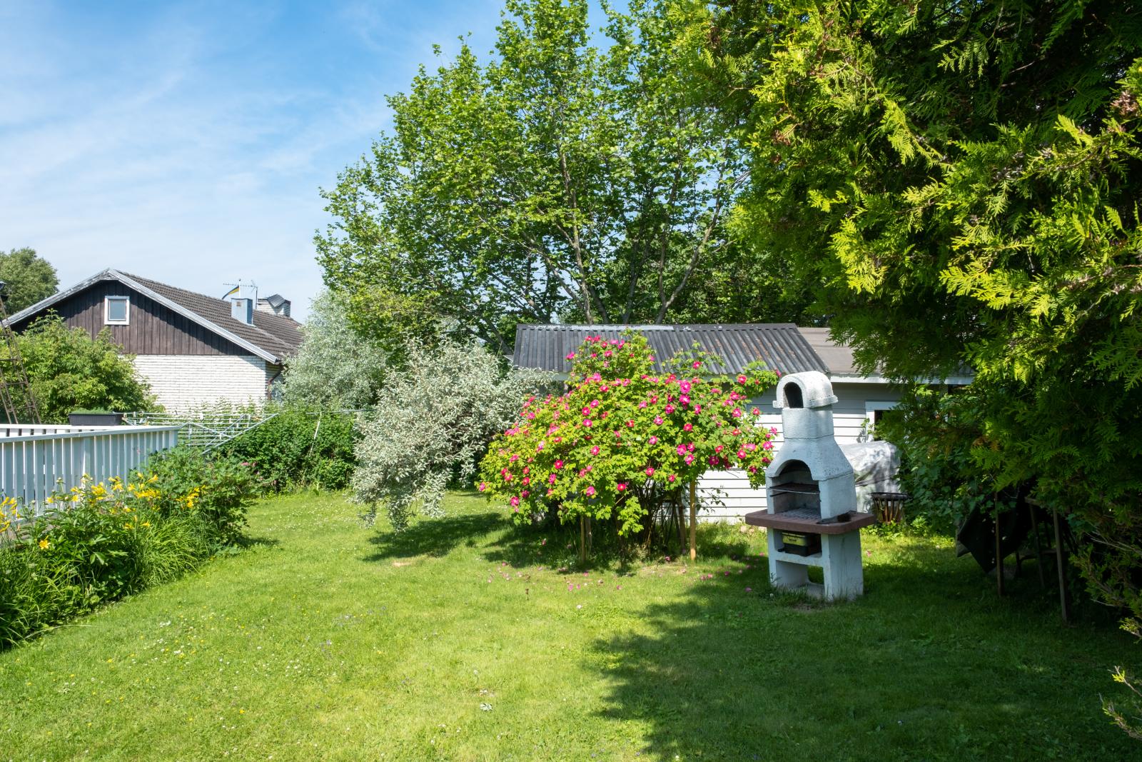 Uppvuxen fin trädgård