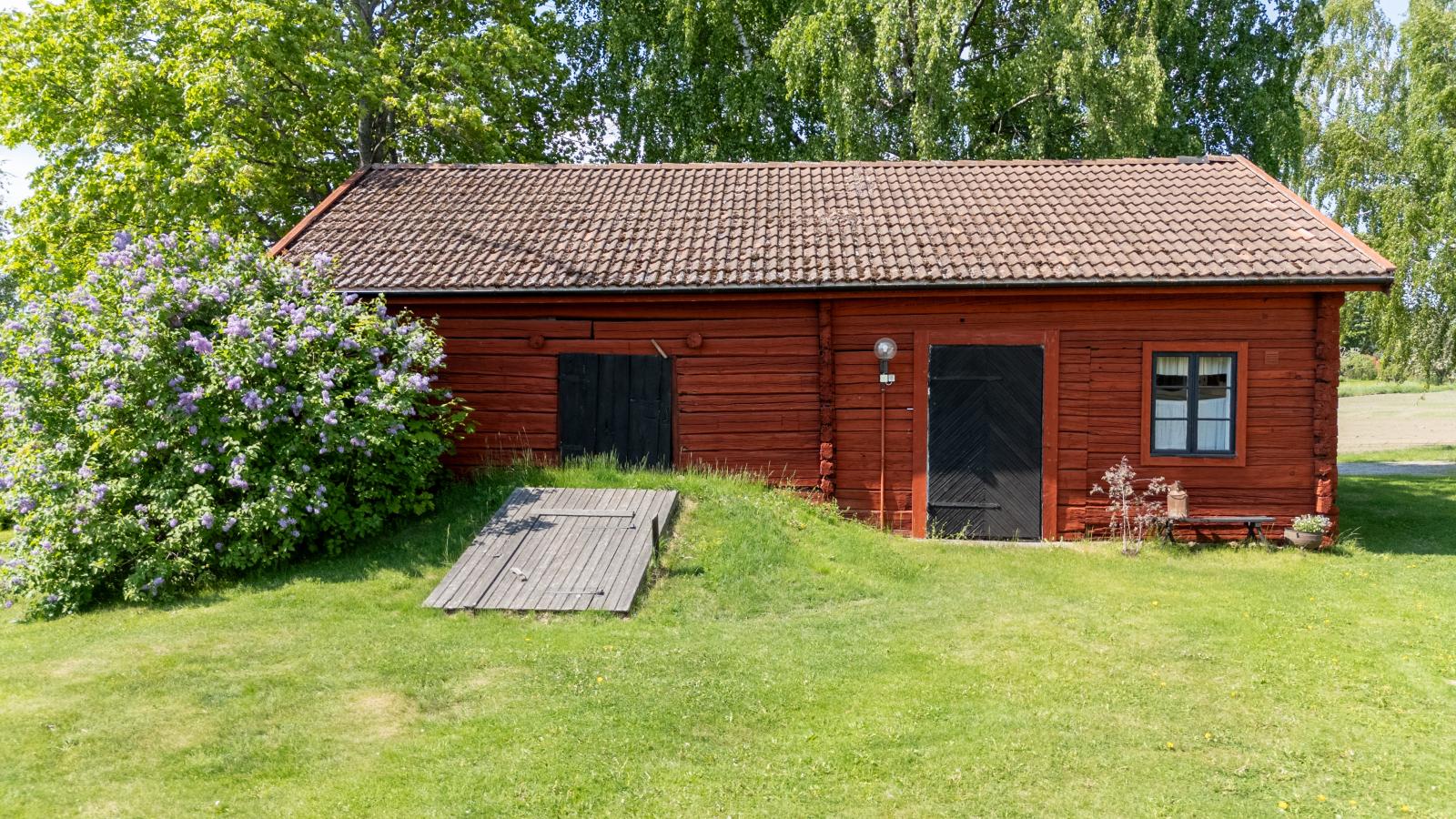 Exteriör