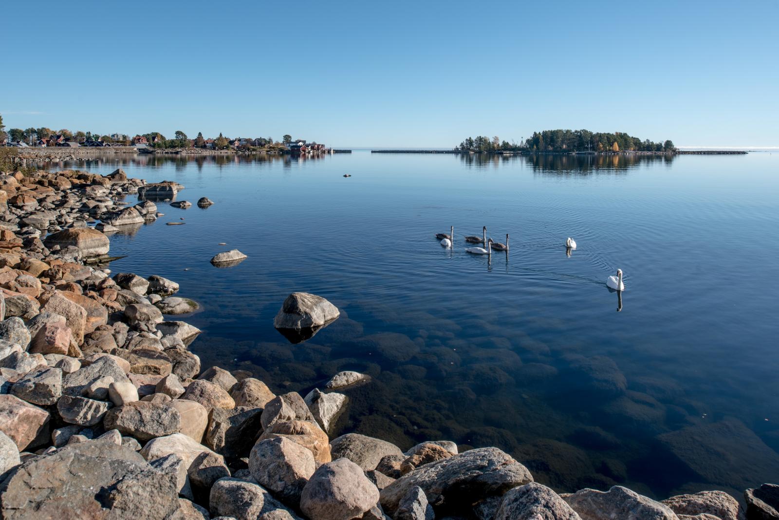 I närområdet