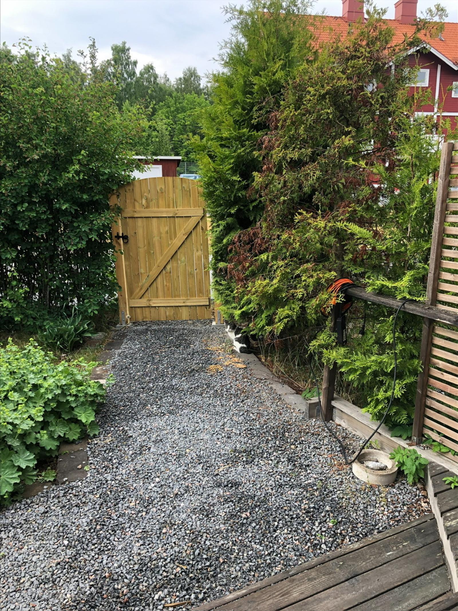 Säljarens sommarbild