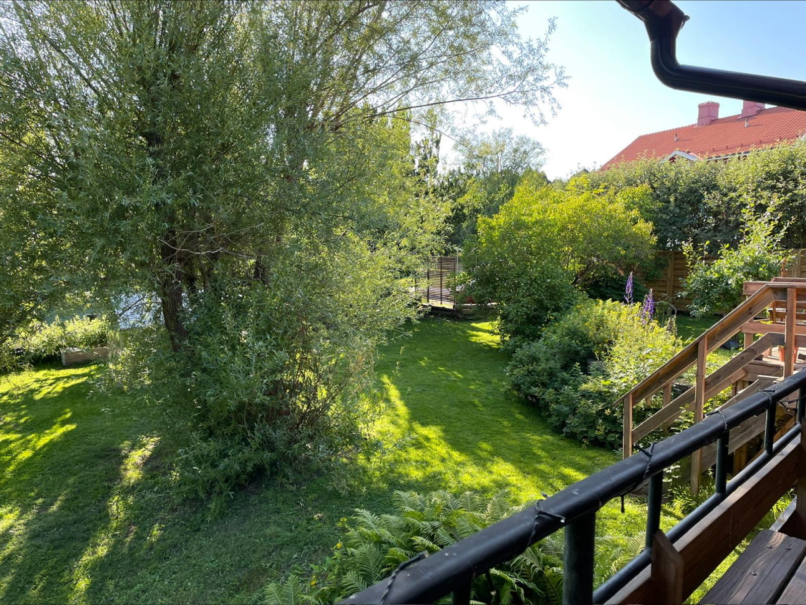Säljarens sommarbild