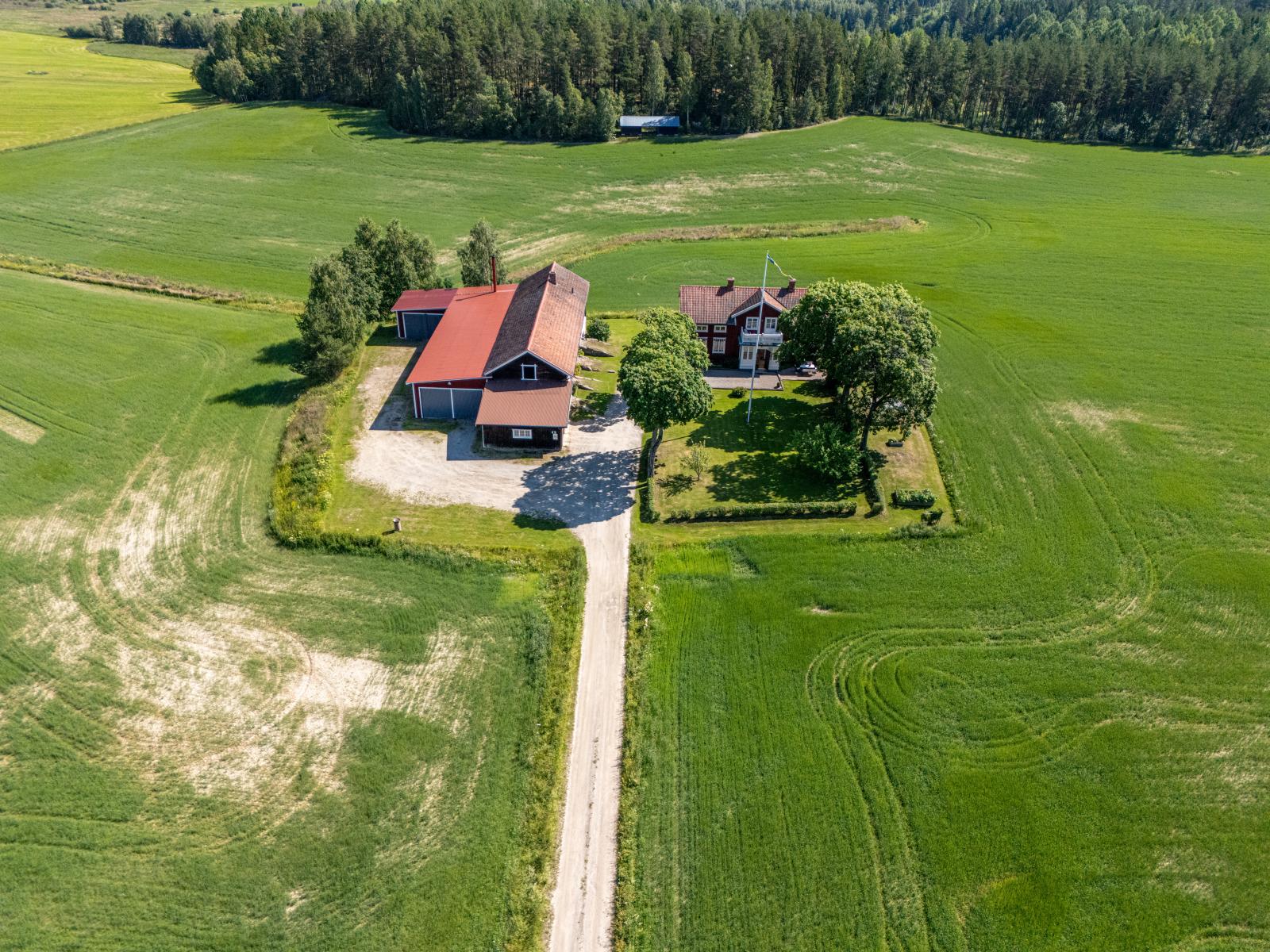 Flygfoto över gården