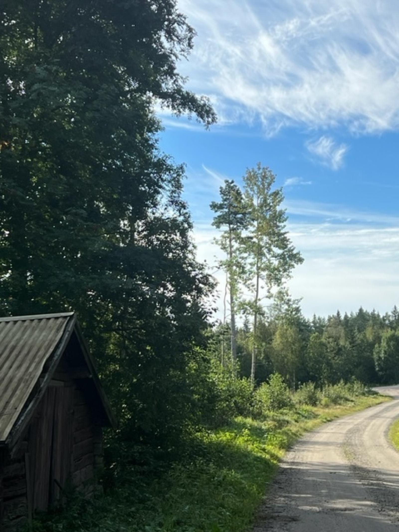 Vägen hit