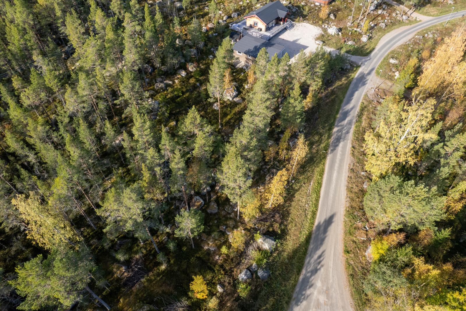 DJI_0001