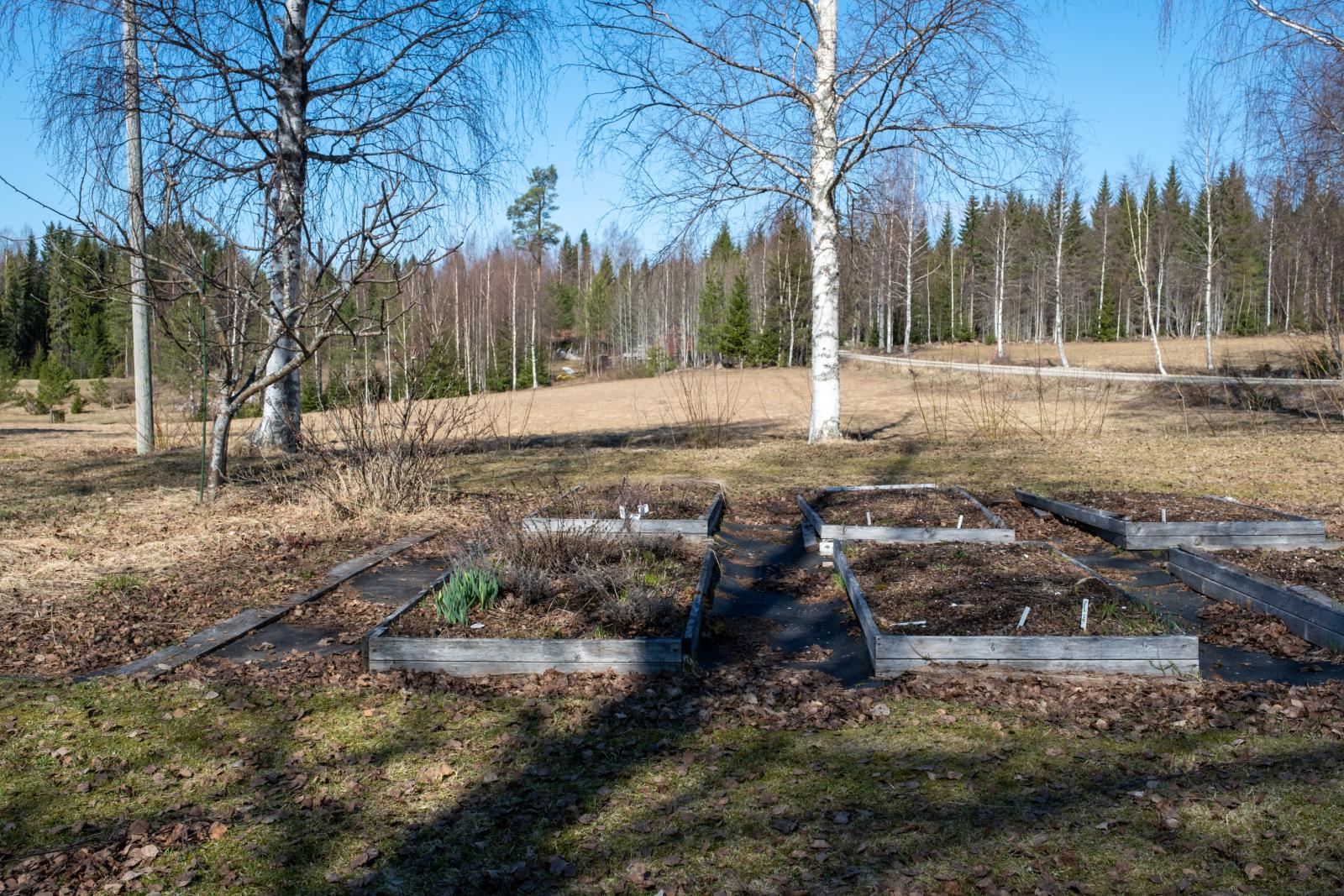 Plats för odling