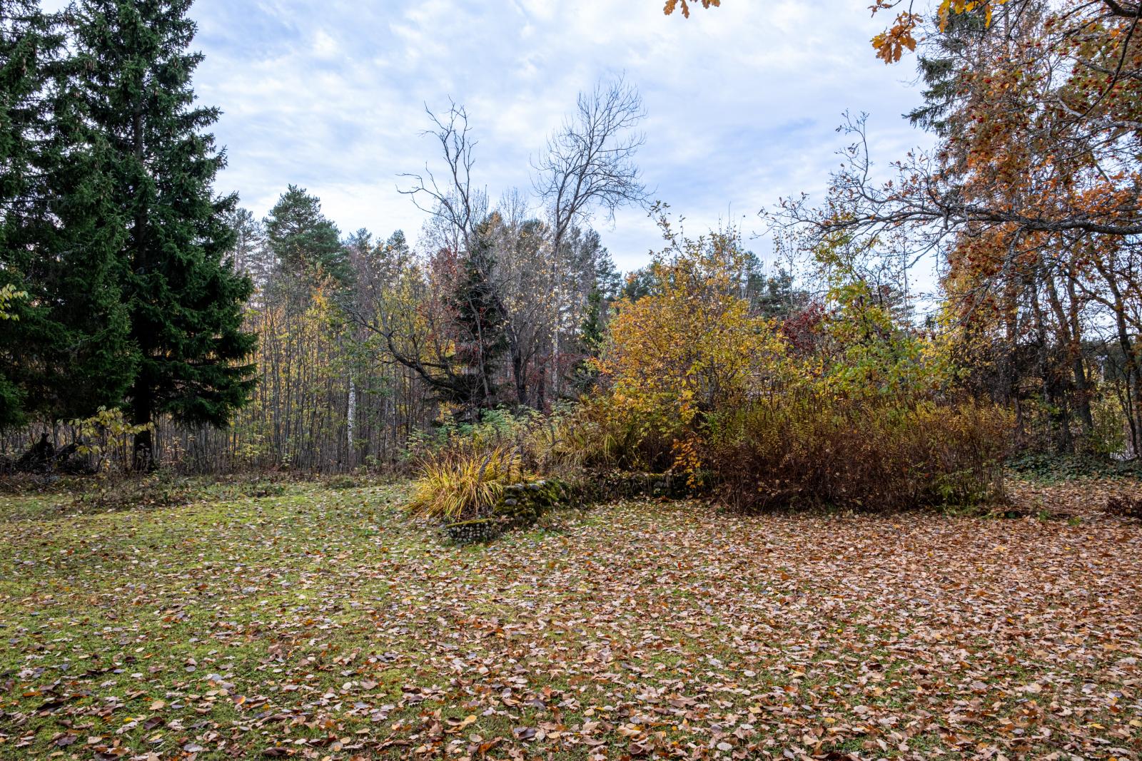 DSCF1218