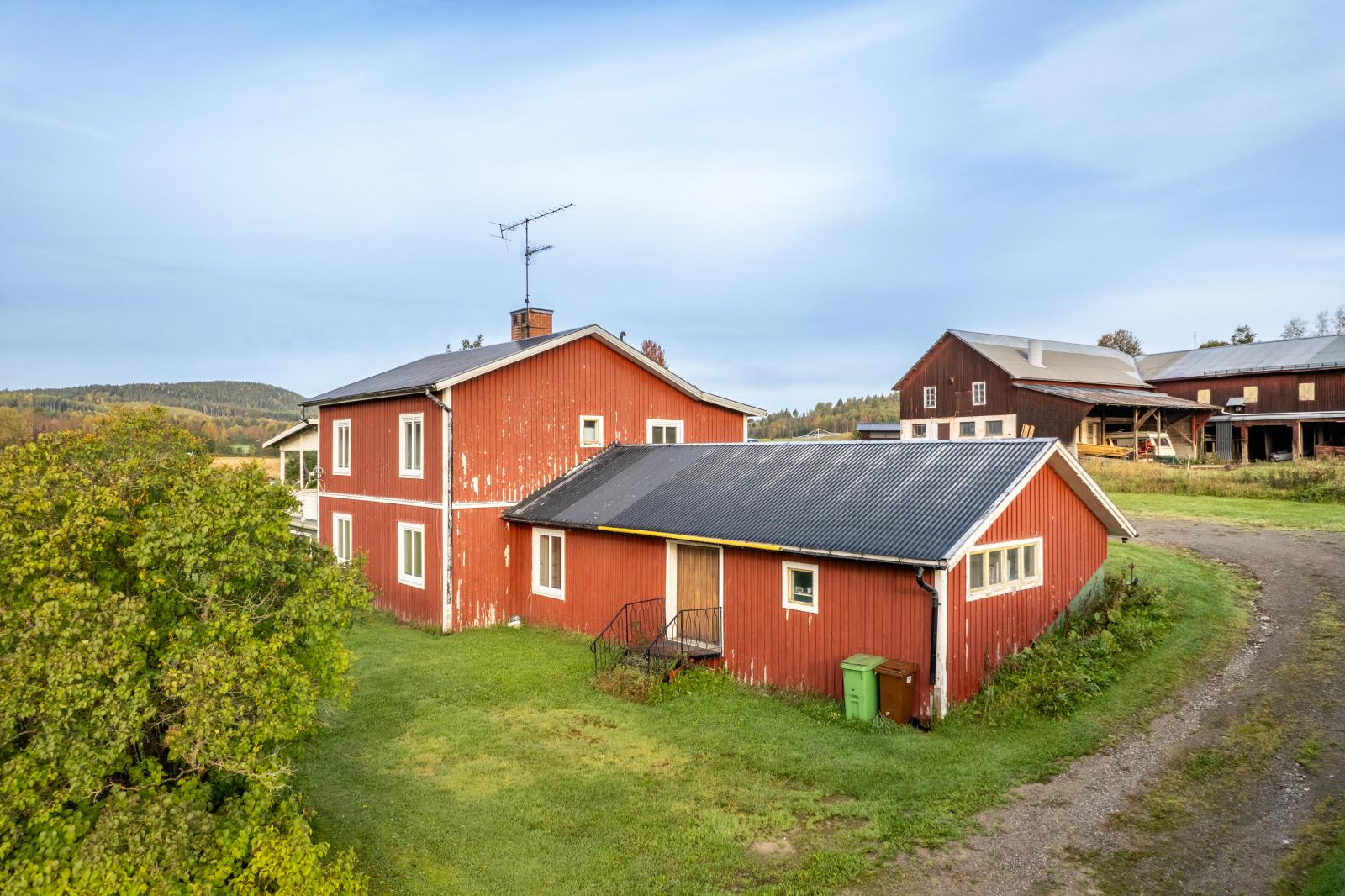 Exteriör