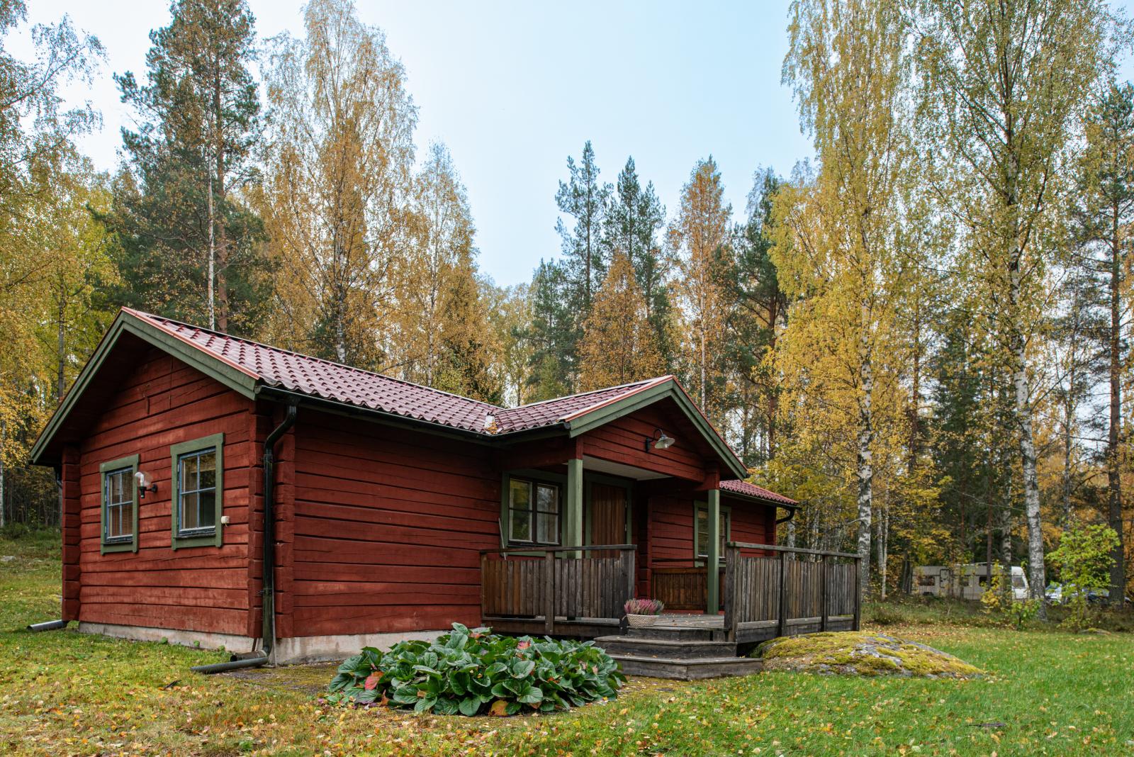 Exteriör