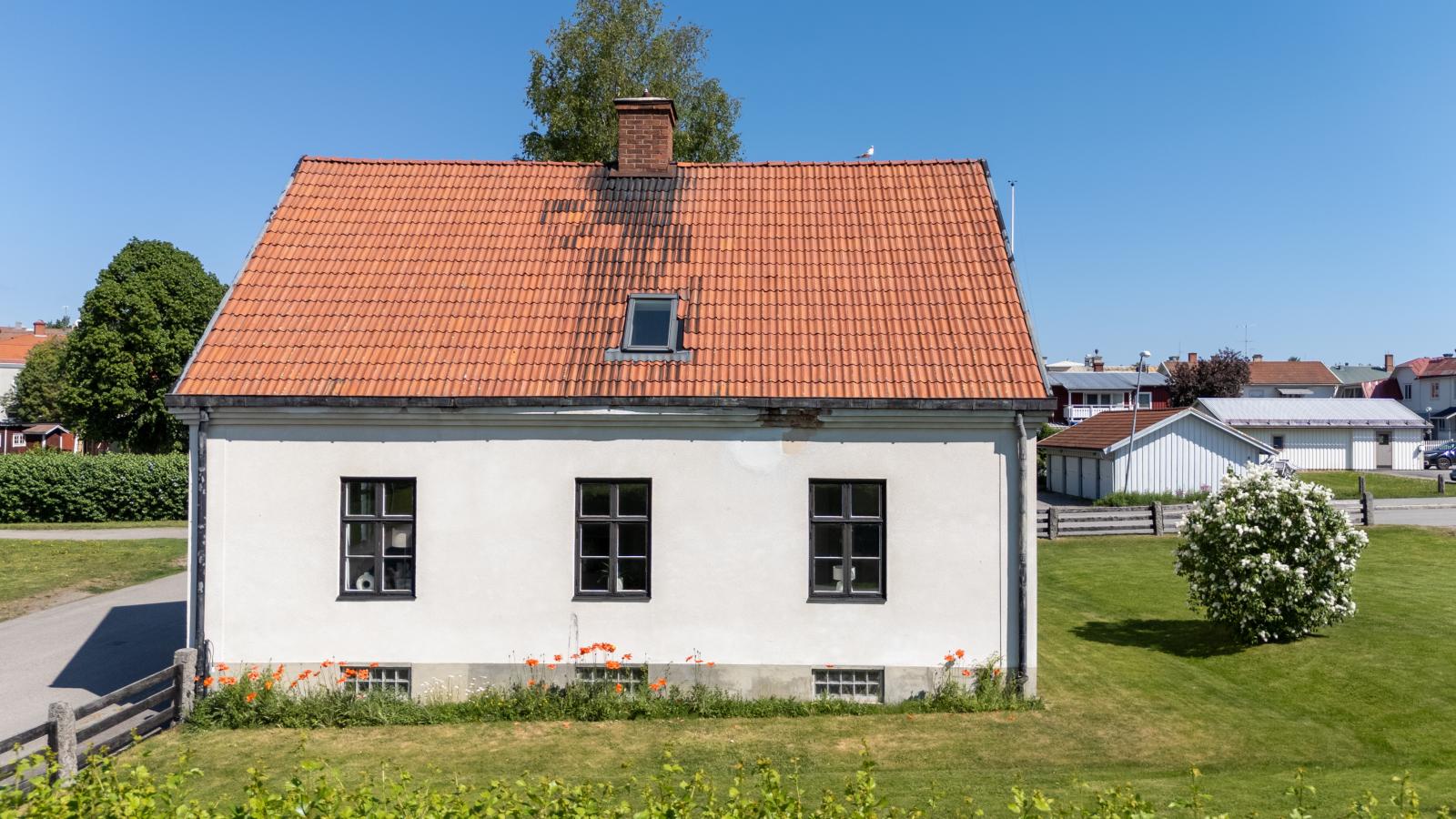 Exteriör
