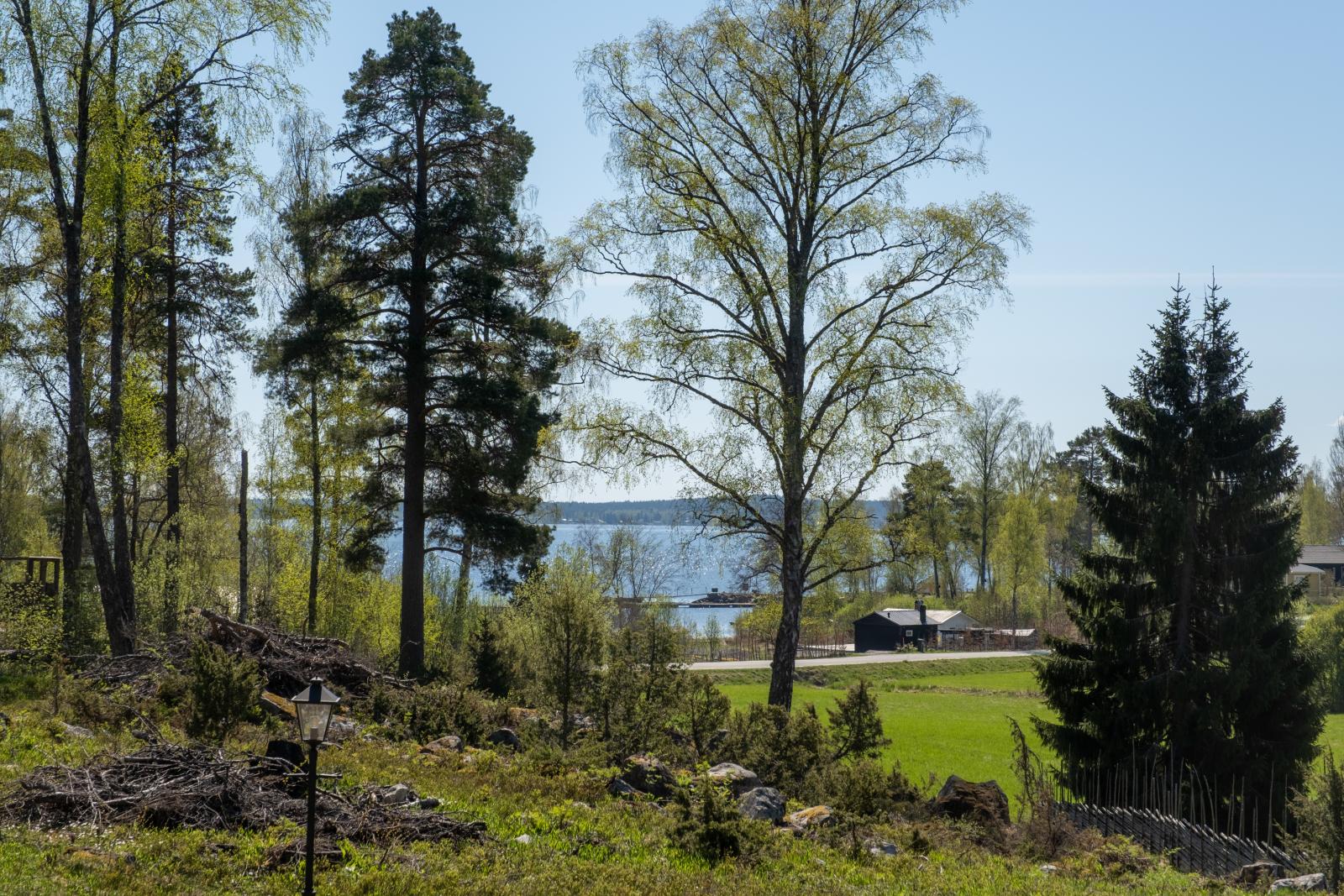 Vy från tomten