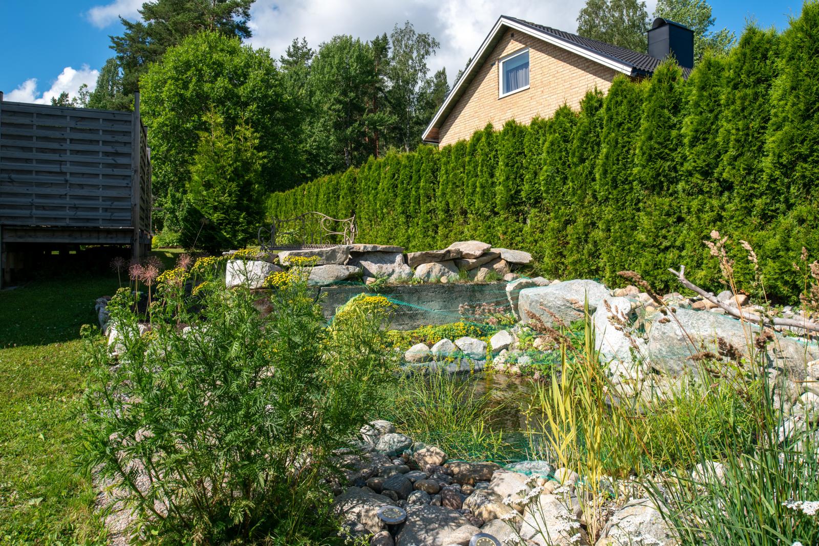 Trädgård