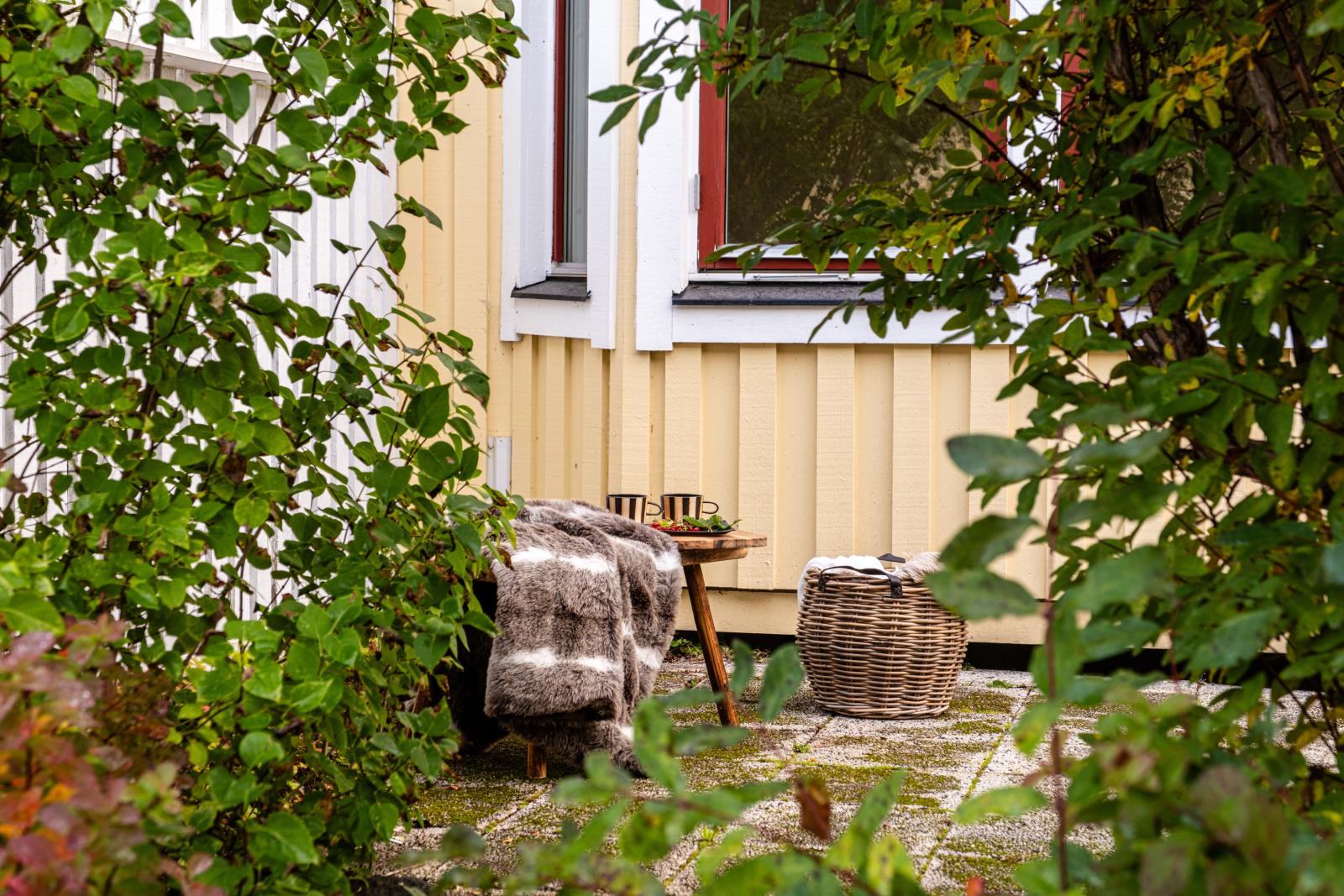 Uteplats och trädgård i väst