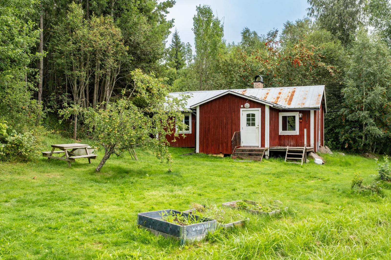 Exteriör