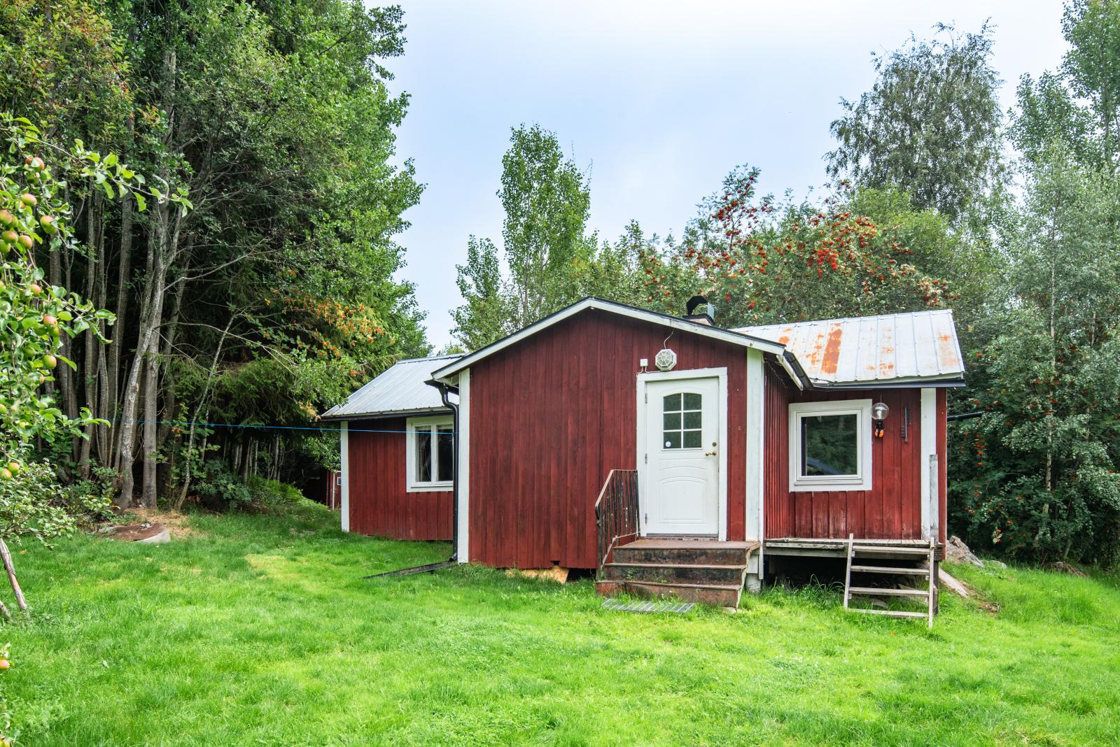 Exteriör