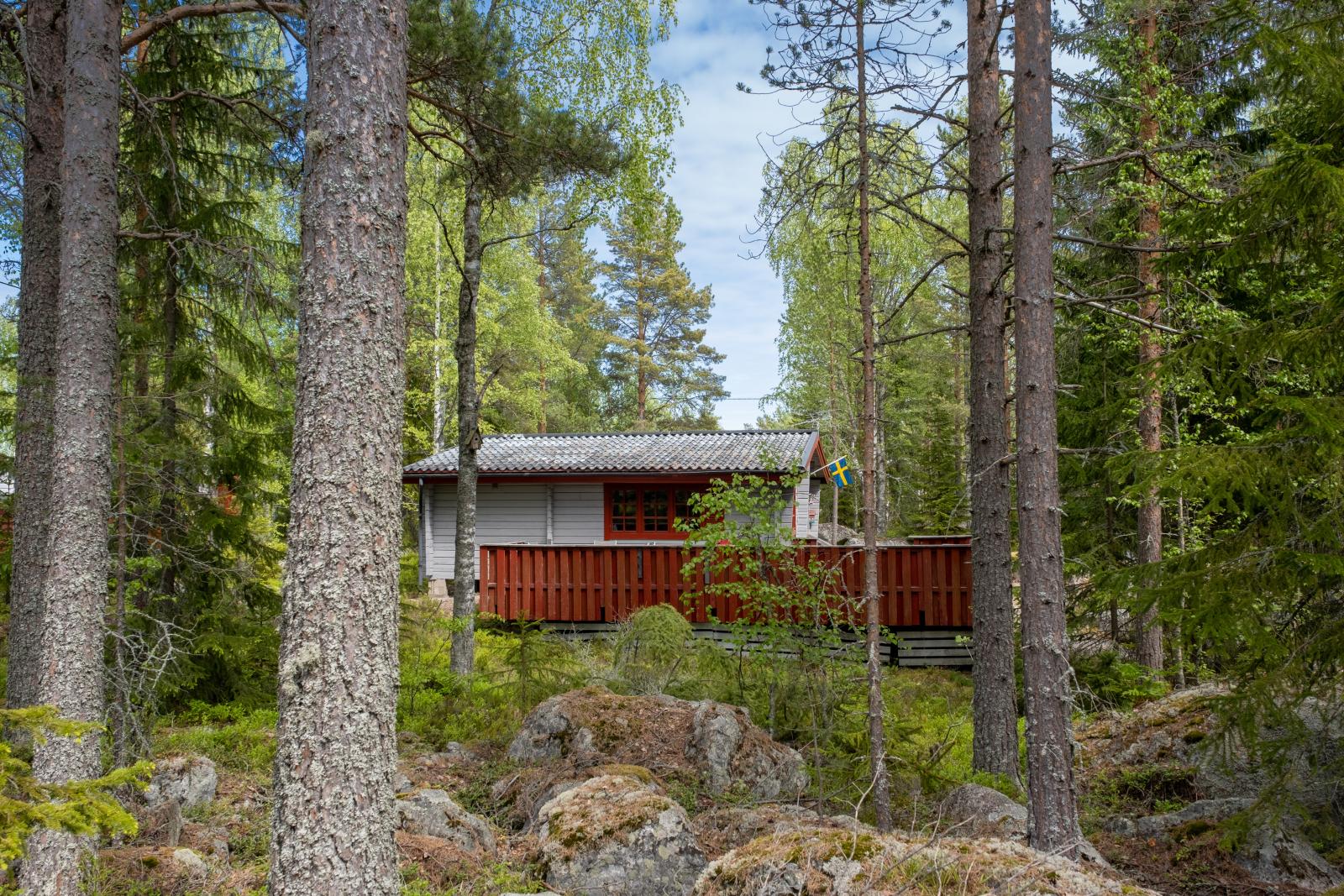 Exteriör