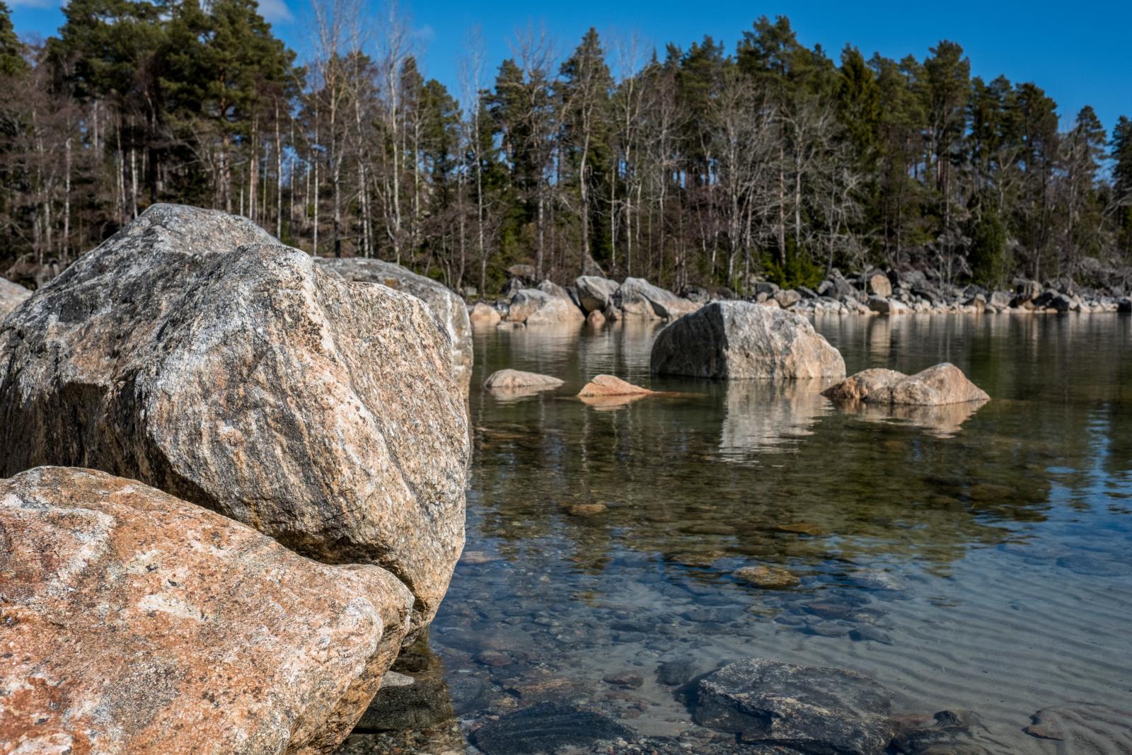 I  området