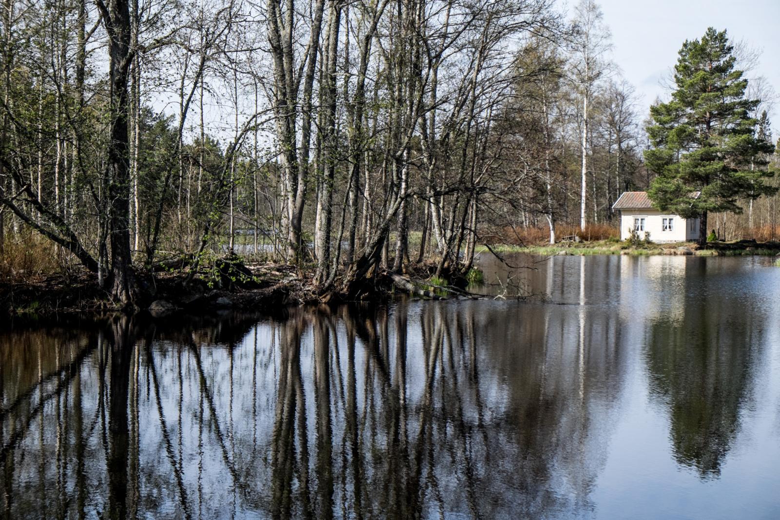 Vid Långvinds bruk