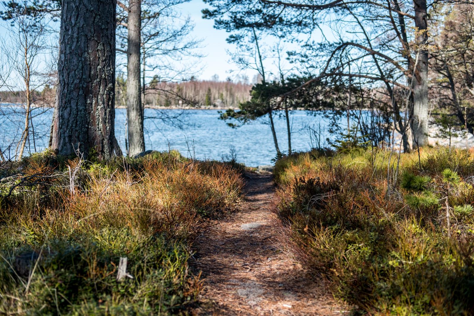 Området