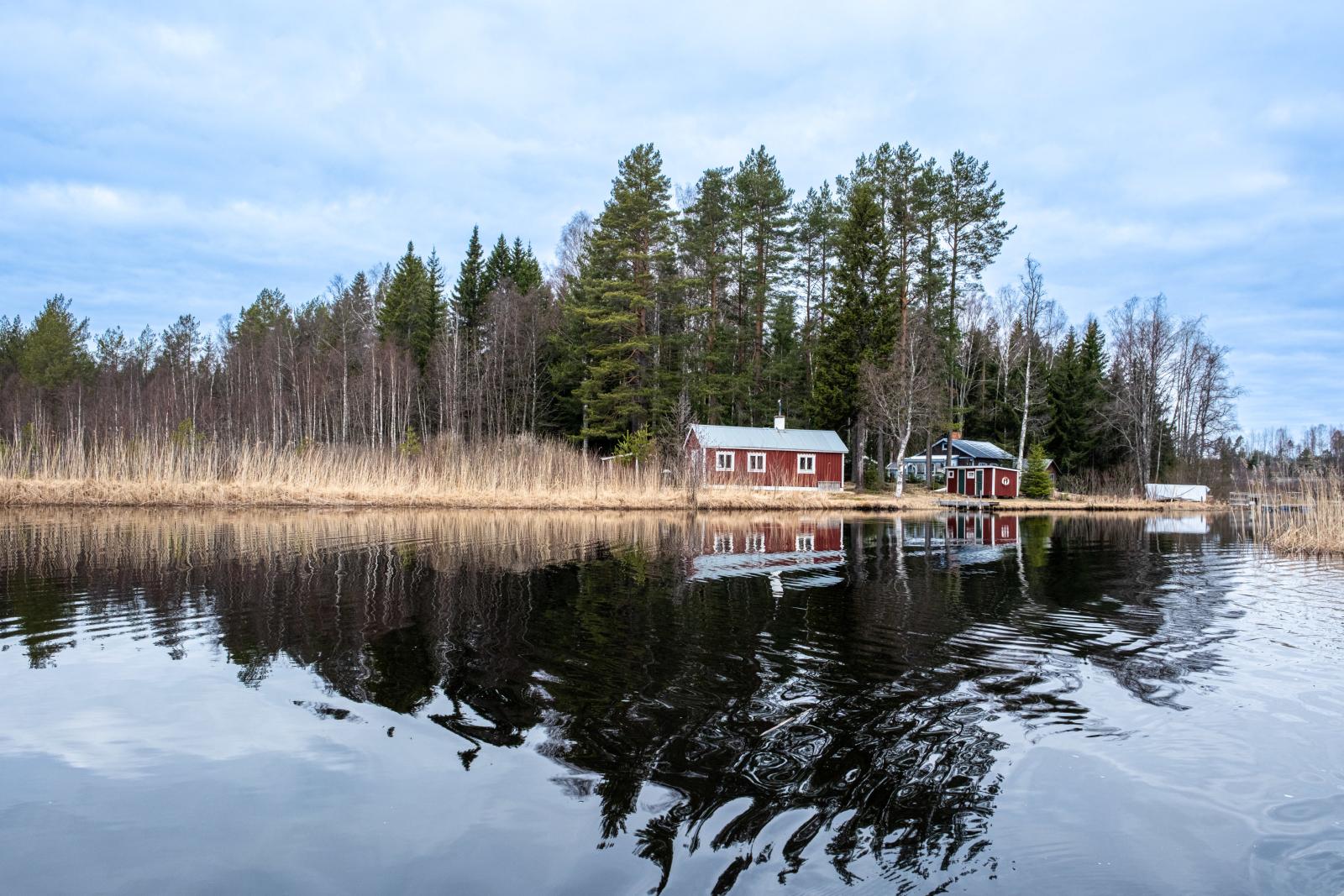 Välkommen till Björkmo 311