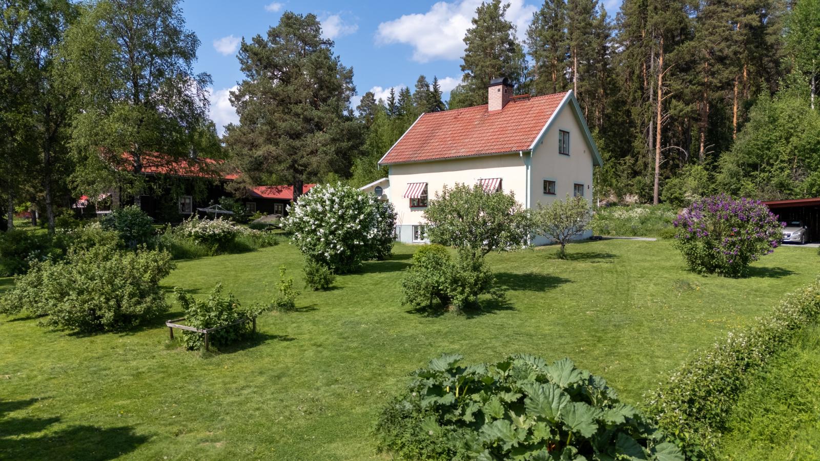 Blomstrande trädgård