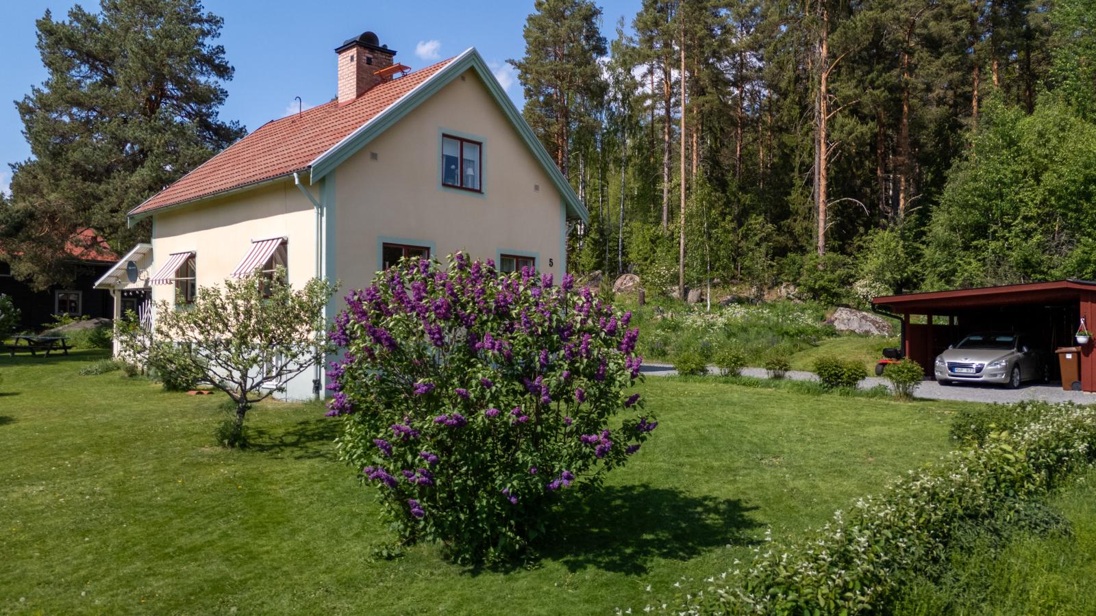 Exteriör