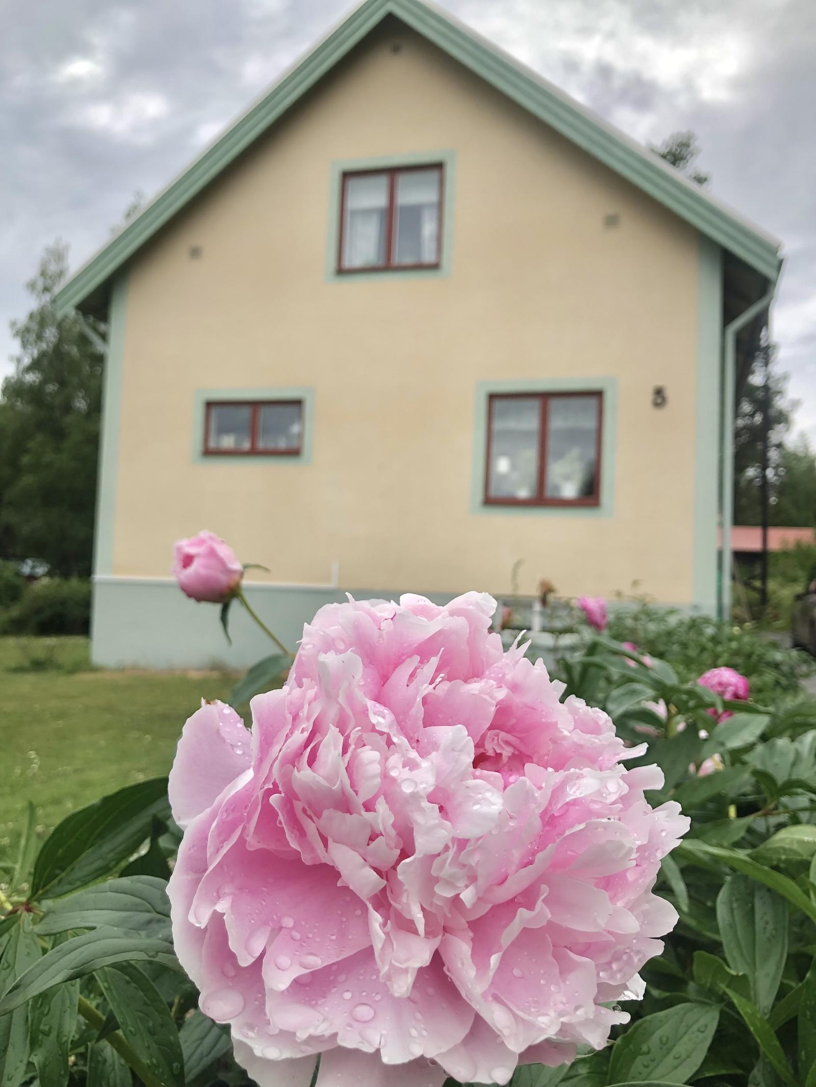 Detaljbild (säljarens bild) 
