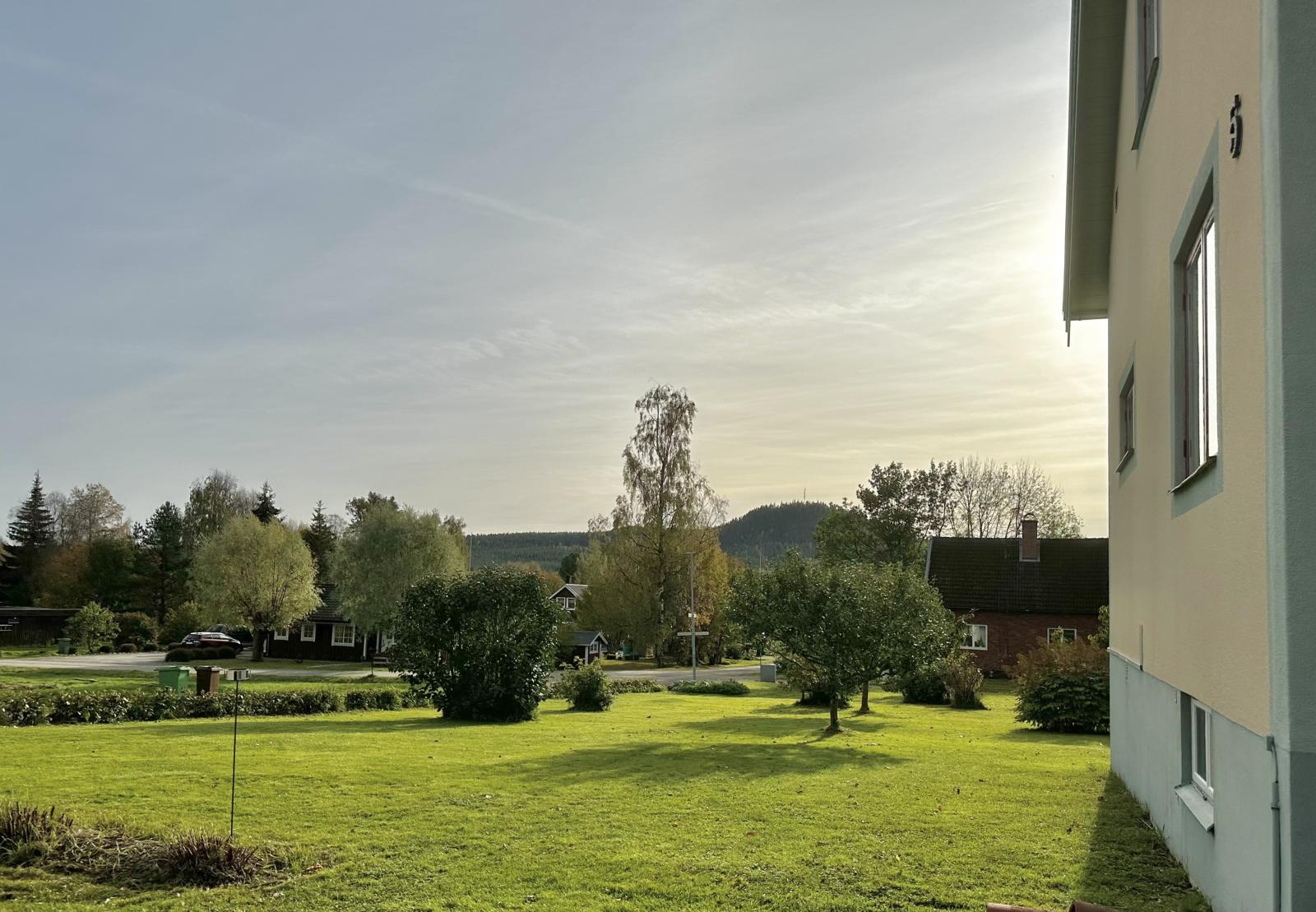 Säljarens bild