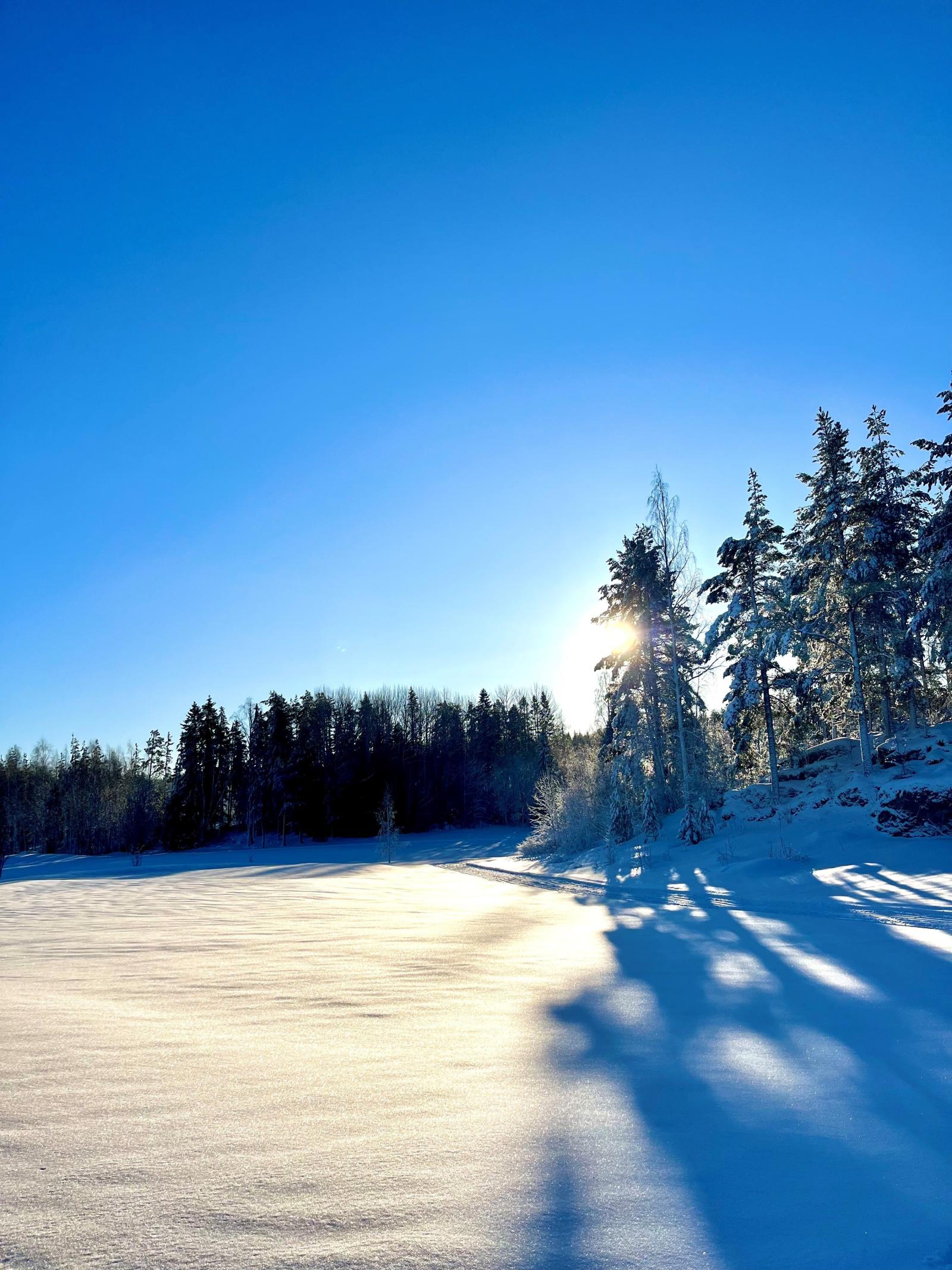 området