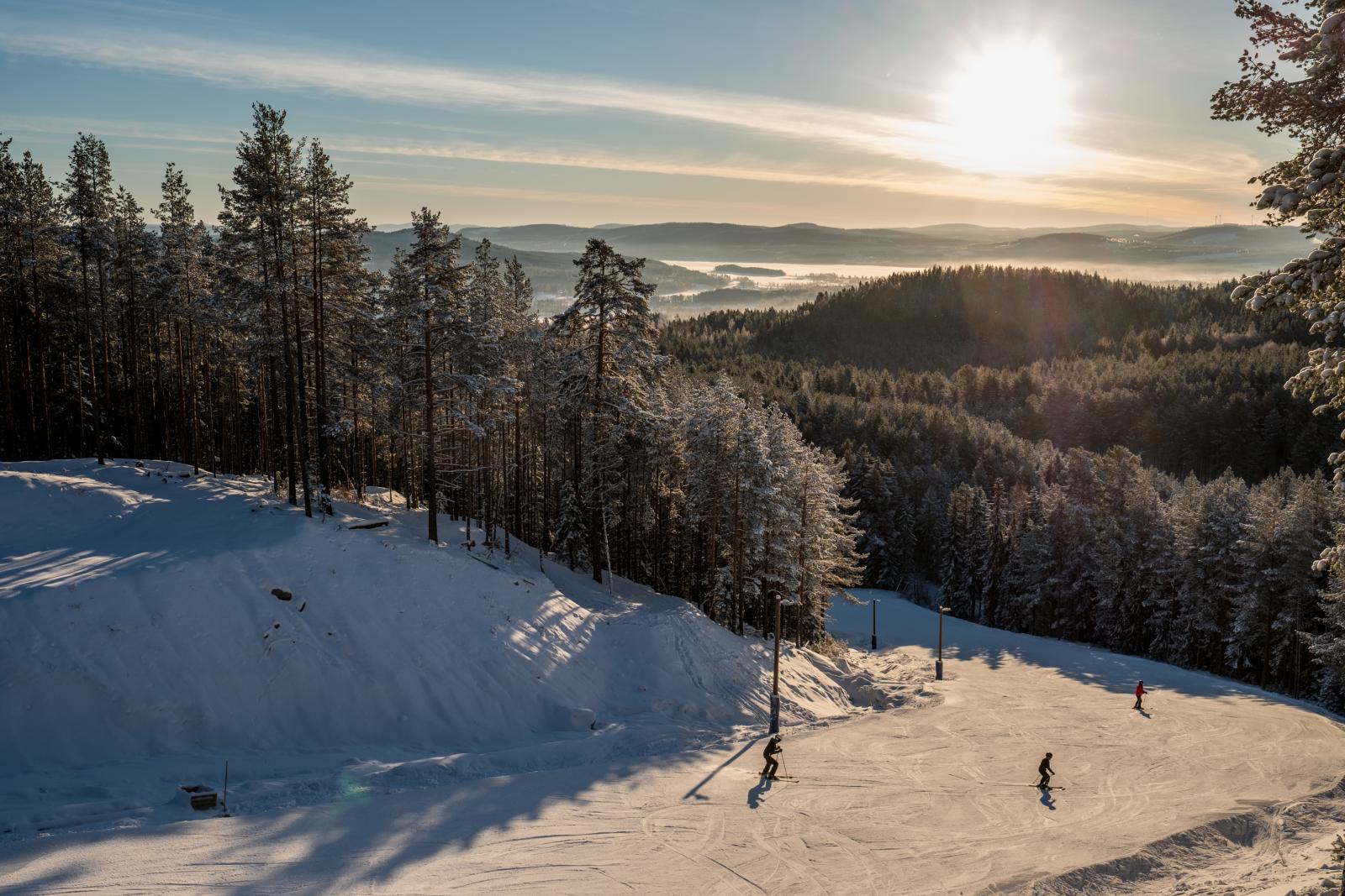 Järvsö områdesbild