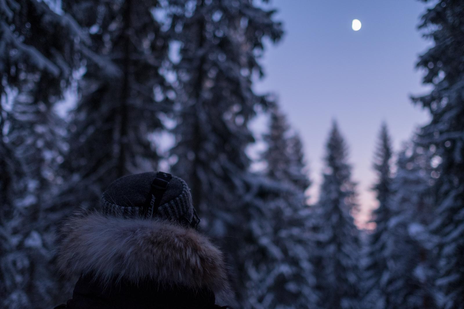 Järvsö områdesbild