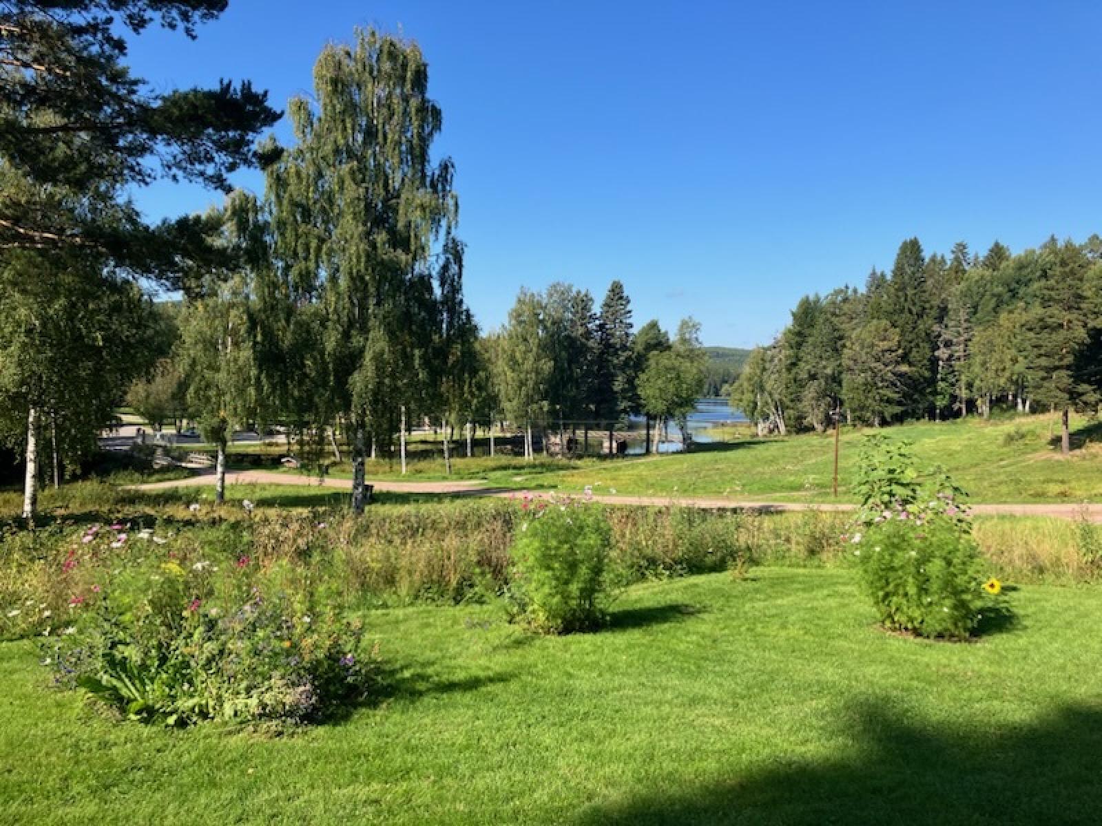 (Säljarens bild)