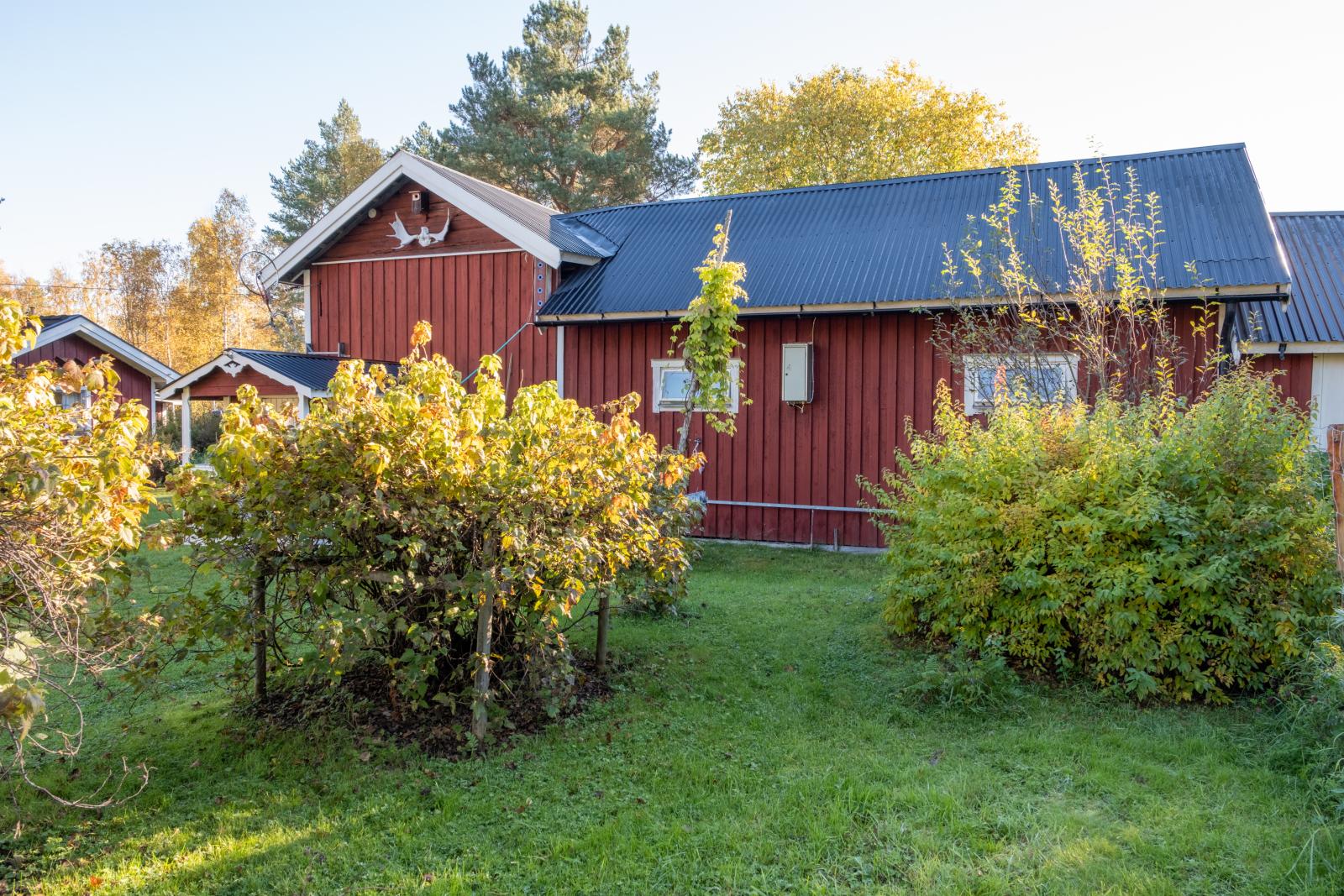 Exteriör