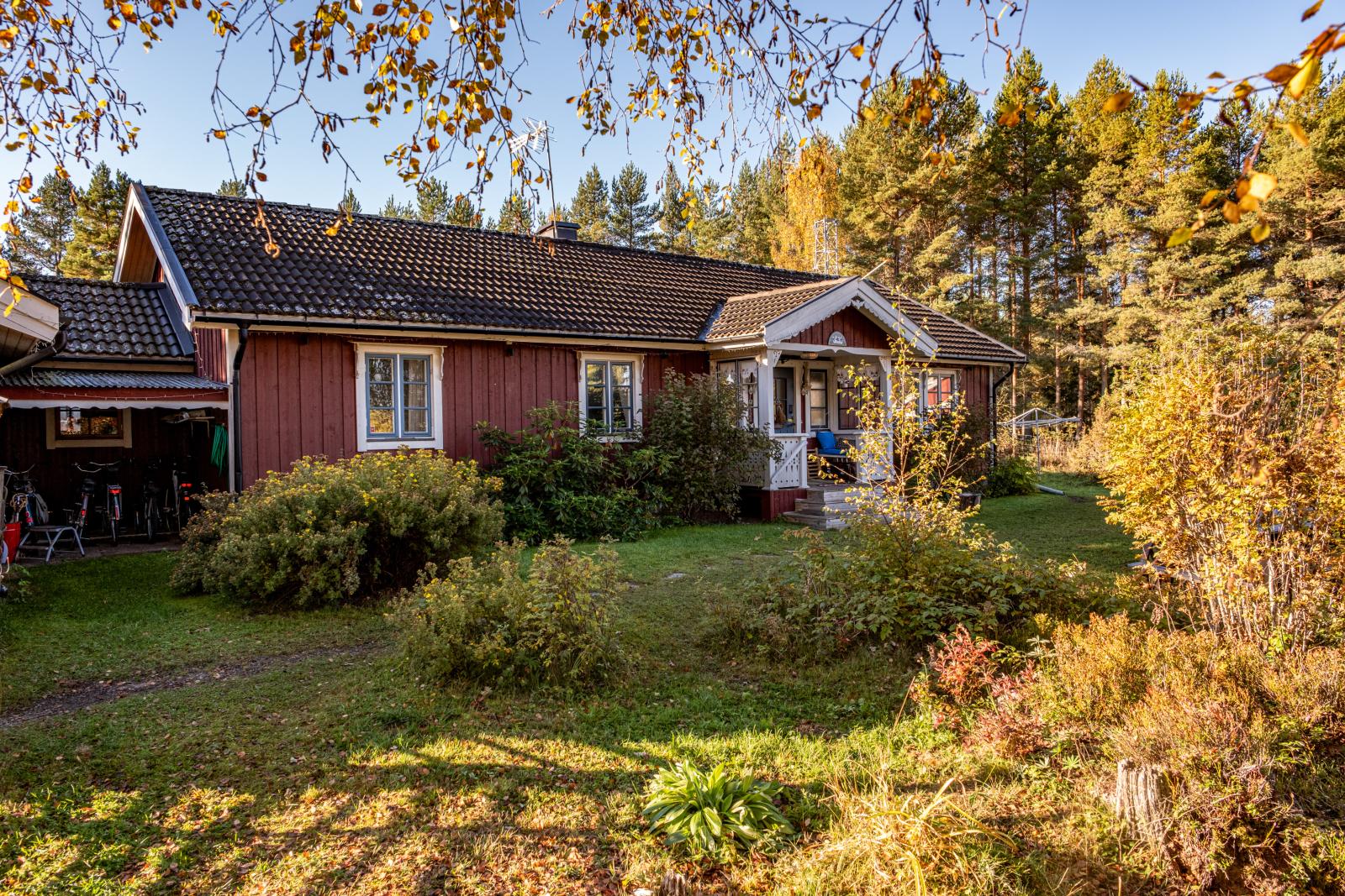 Exteriör