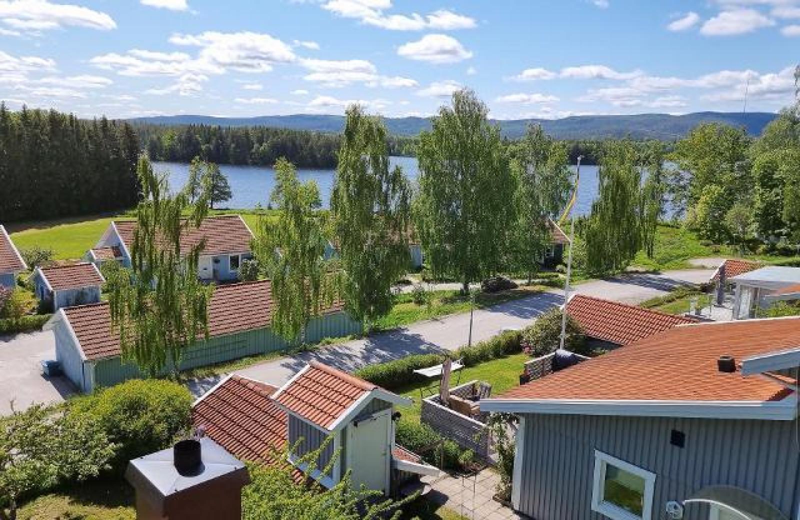 Välkommen till Bäckgårdsvägen,  Forsa