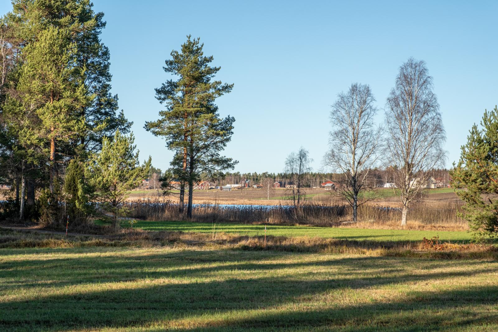 Området