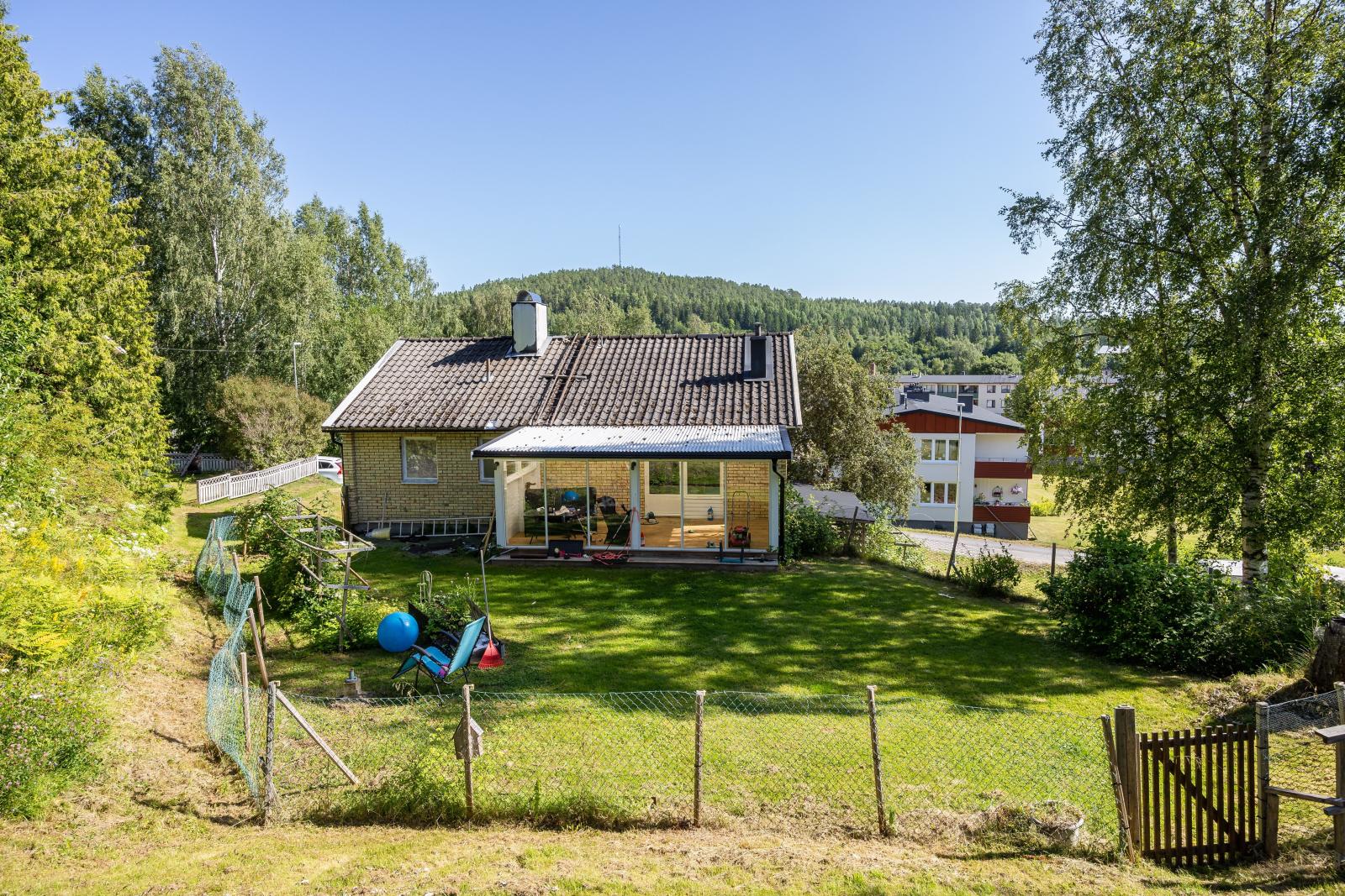 Trädgården