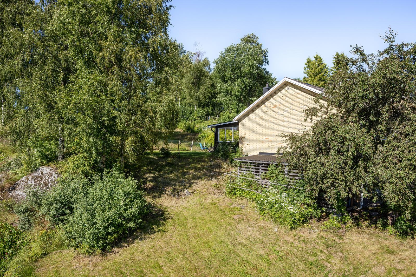 Trädgården