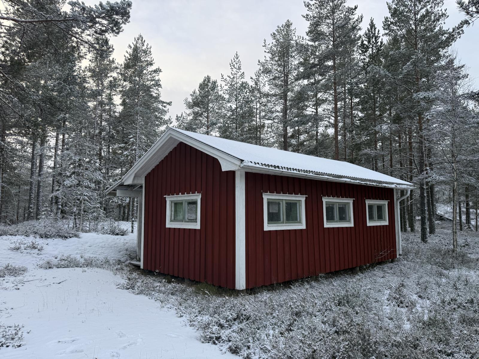 Exteriör