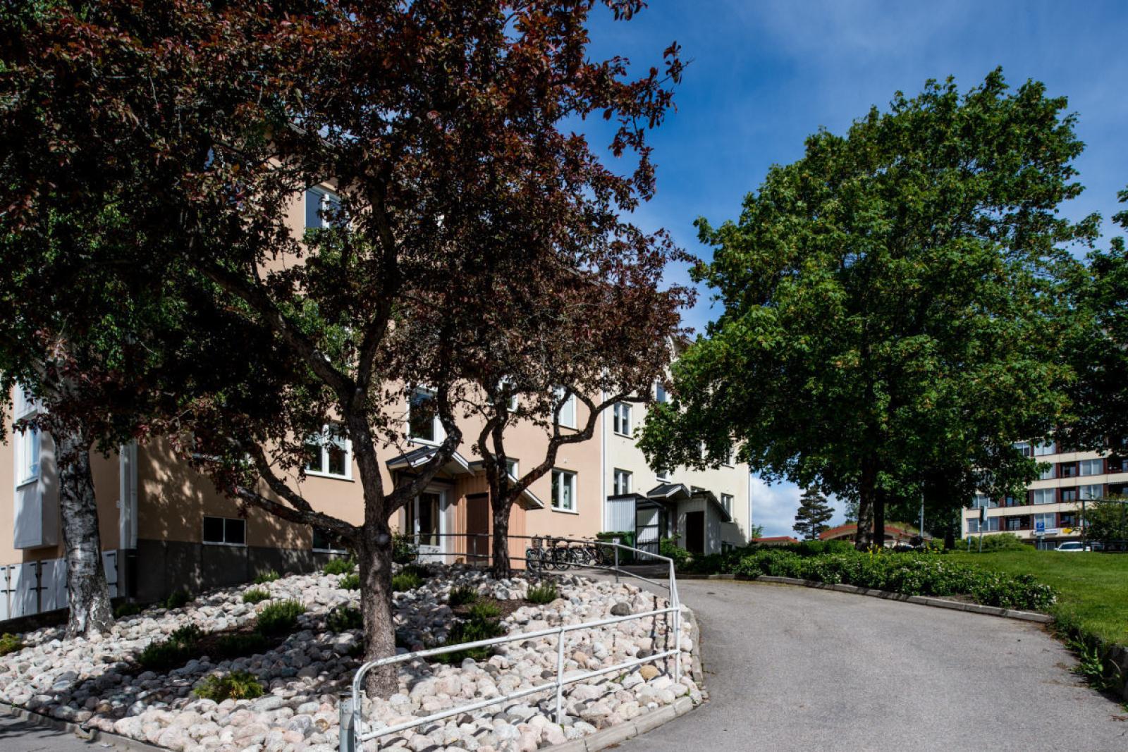 Välkommen till Djupegatan 35B!