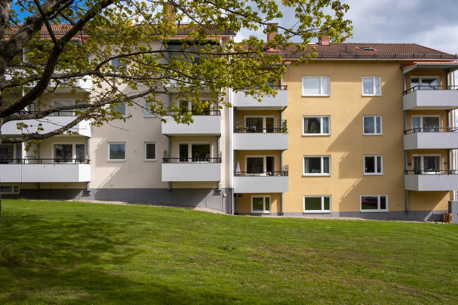 Exteriör
