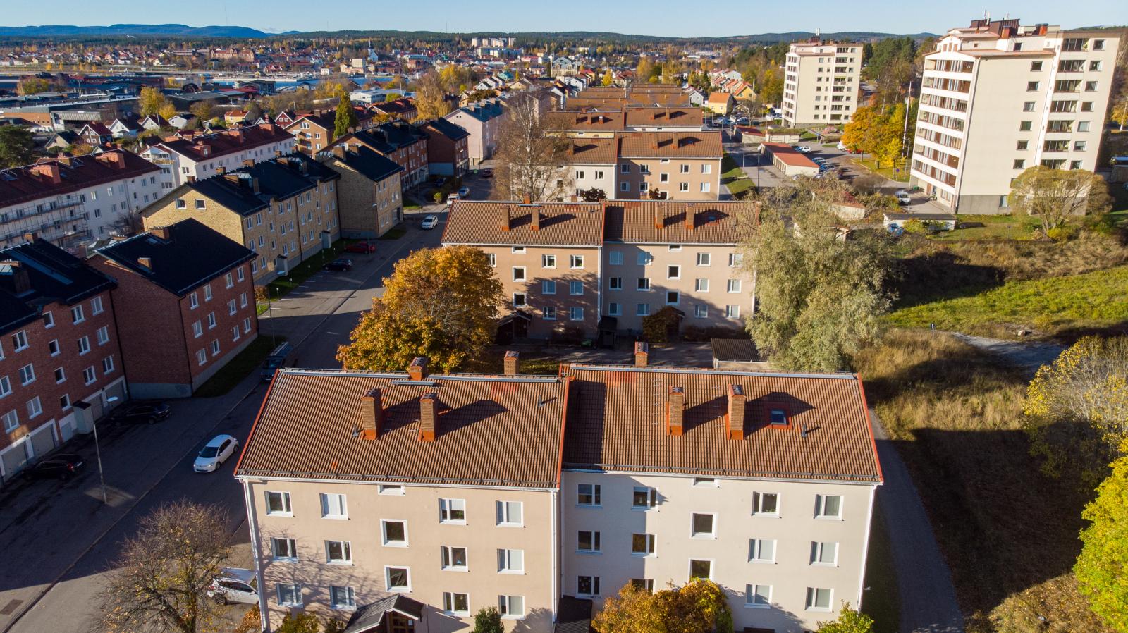 Exteriör
