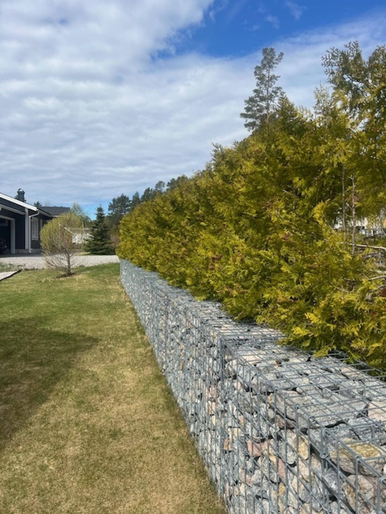 I trädgården