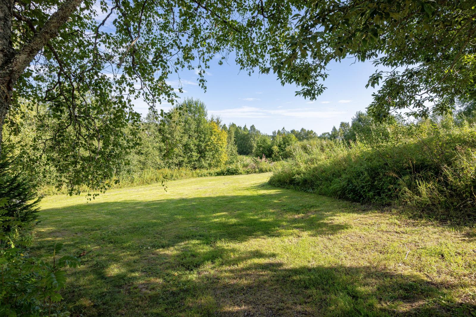 Omgivningen