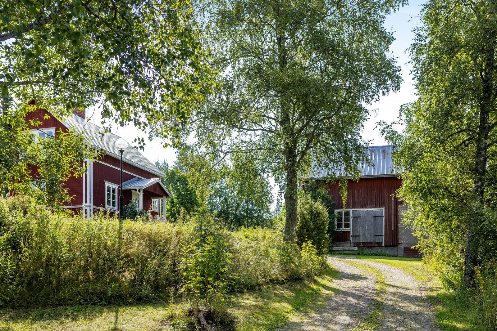 Den lummiga vägen upp mot fastigheten