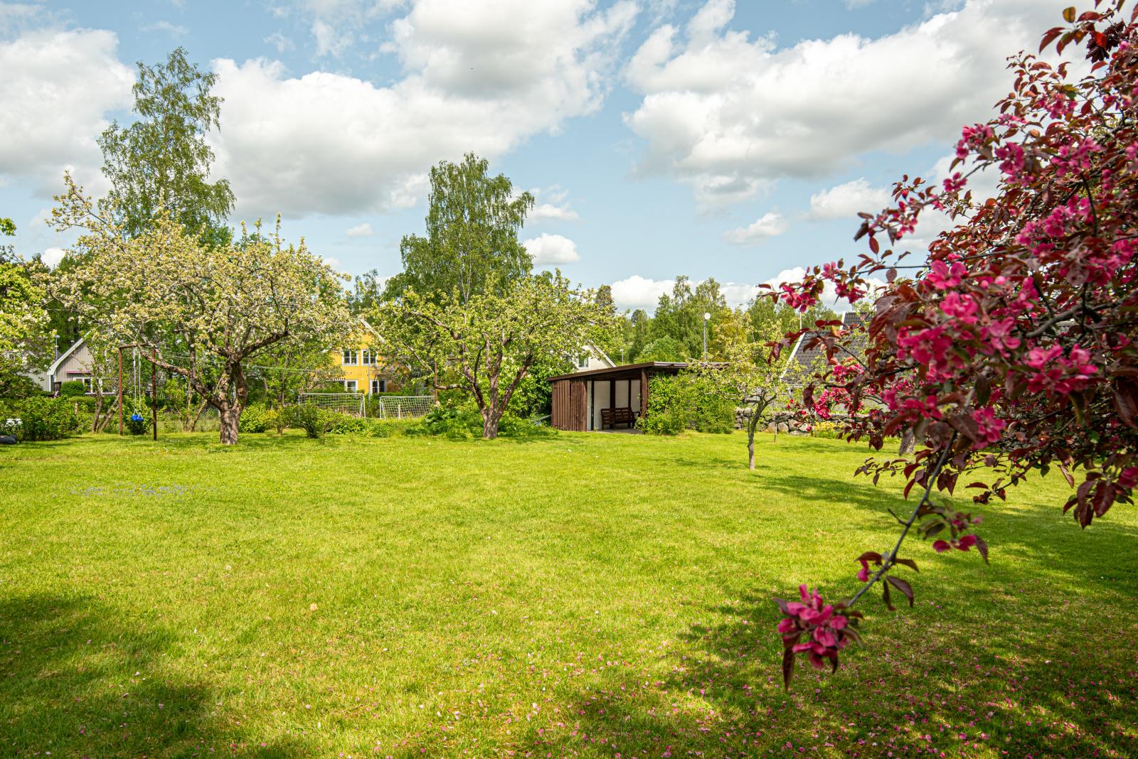 Generös uppvuxen trädgård